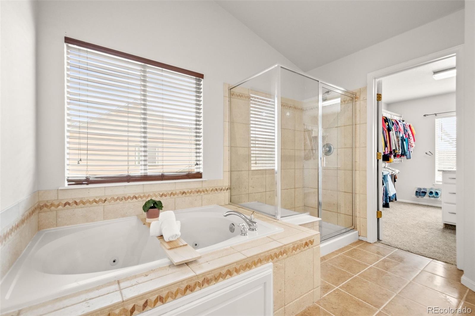 MLS Image #28 for 132  mesa street,brighton, Colorado