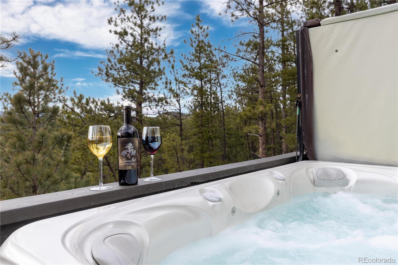 MLS Image #18 for 26456  sweetbriar trail,evergreen, Colorado