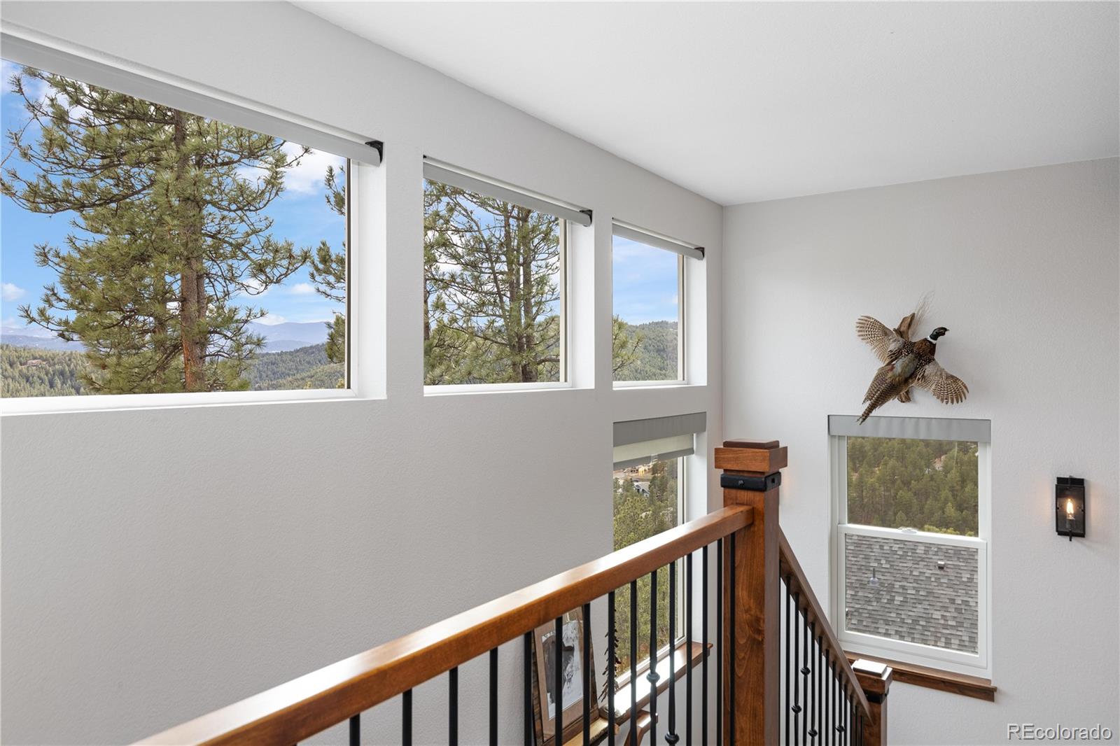 MLS Image #22 for 26456  sweetbriar trail,evergreen, Colorado