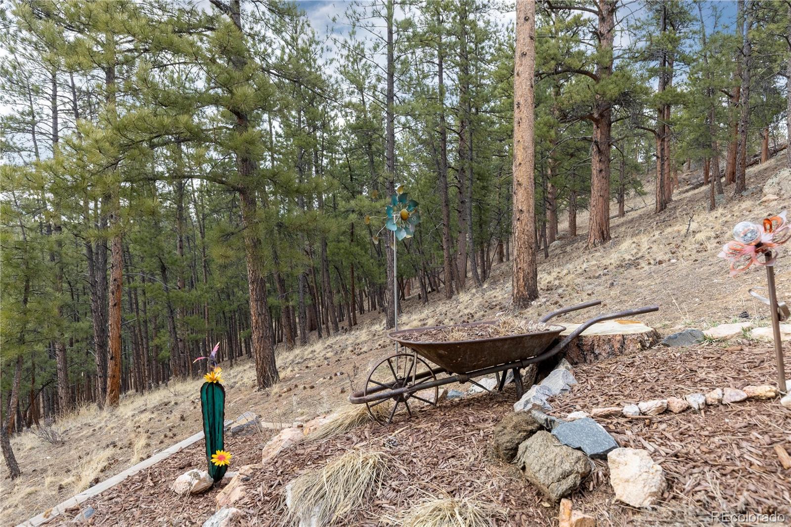 MLS Image #45 for 26456  sweetbriar trail,evergreen, Colorado
