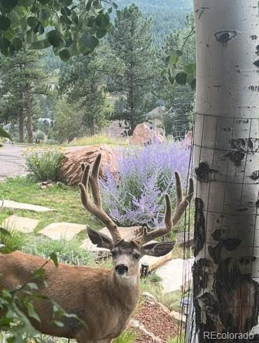 MLS Image #46 for 26456  sweetbriar trail,evergreen, Colorado