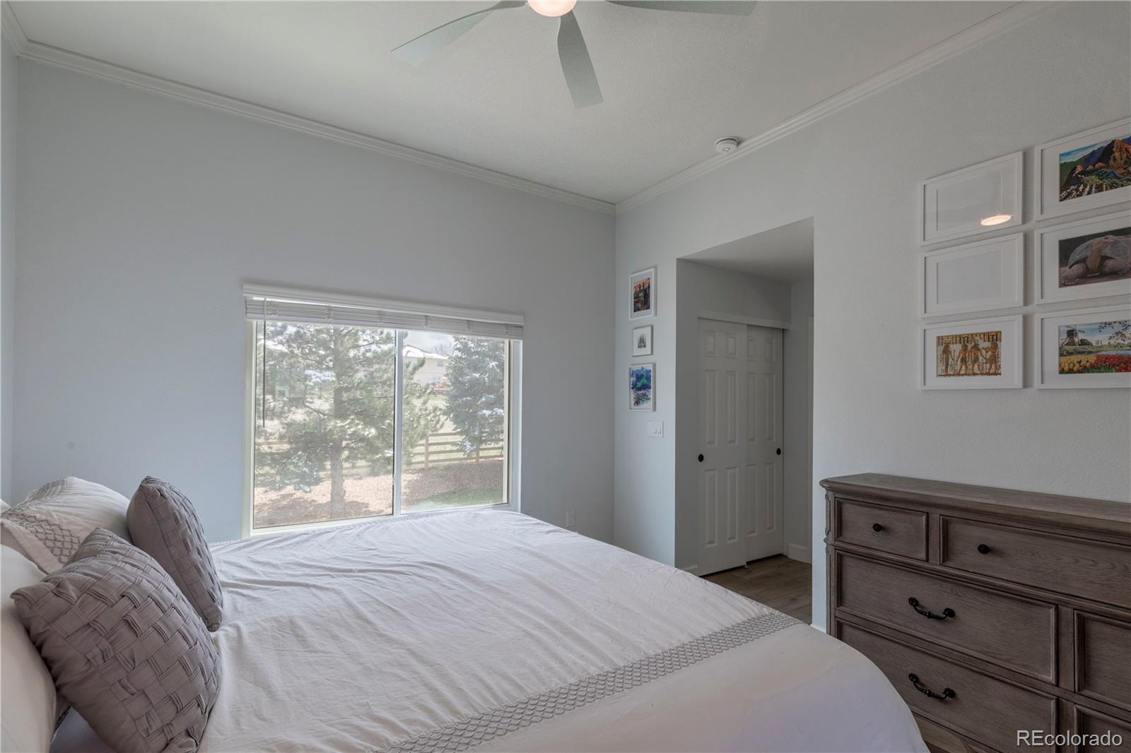 MLS Image #11 for 294  willowick circle,highlands ranch, Colorado