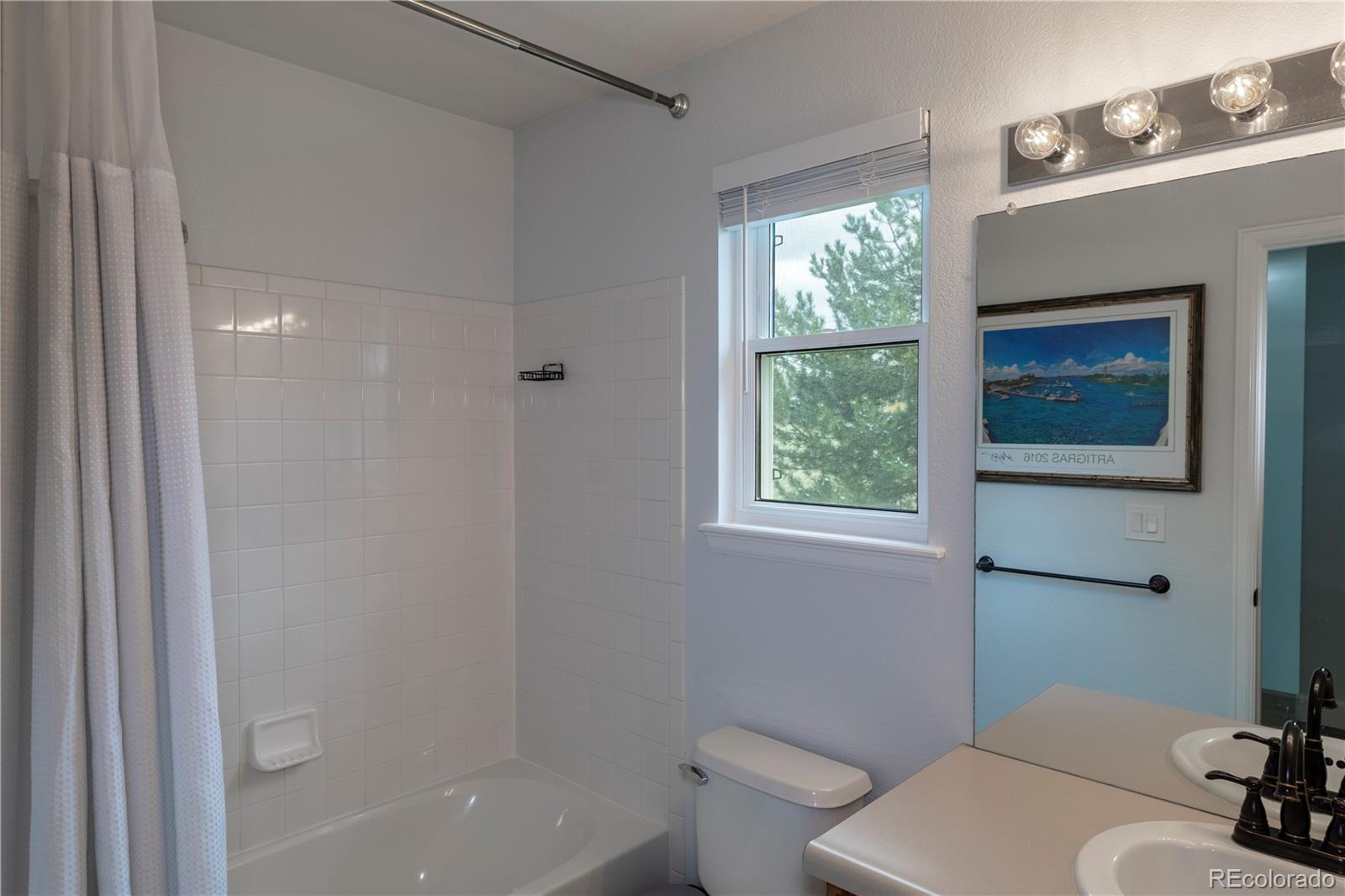 MLS Image #18 for 294  willowick circle,highlands ranch, Colorado