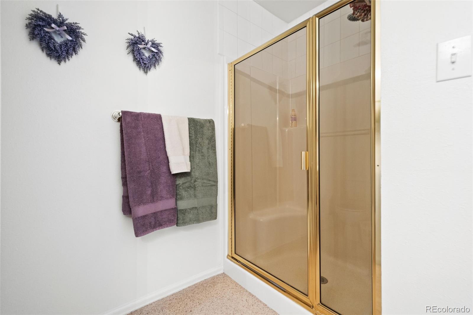 MLS Image #19 for 23753 e 155th way,brighton, Colorado