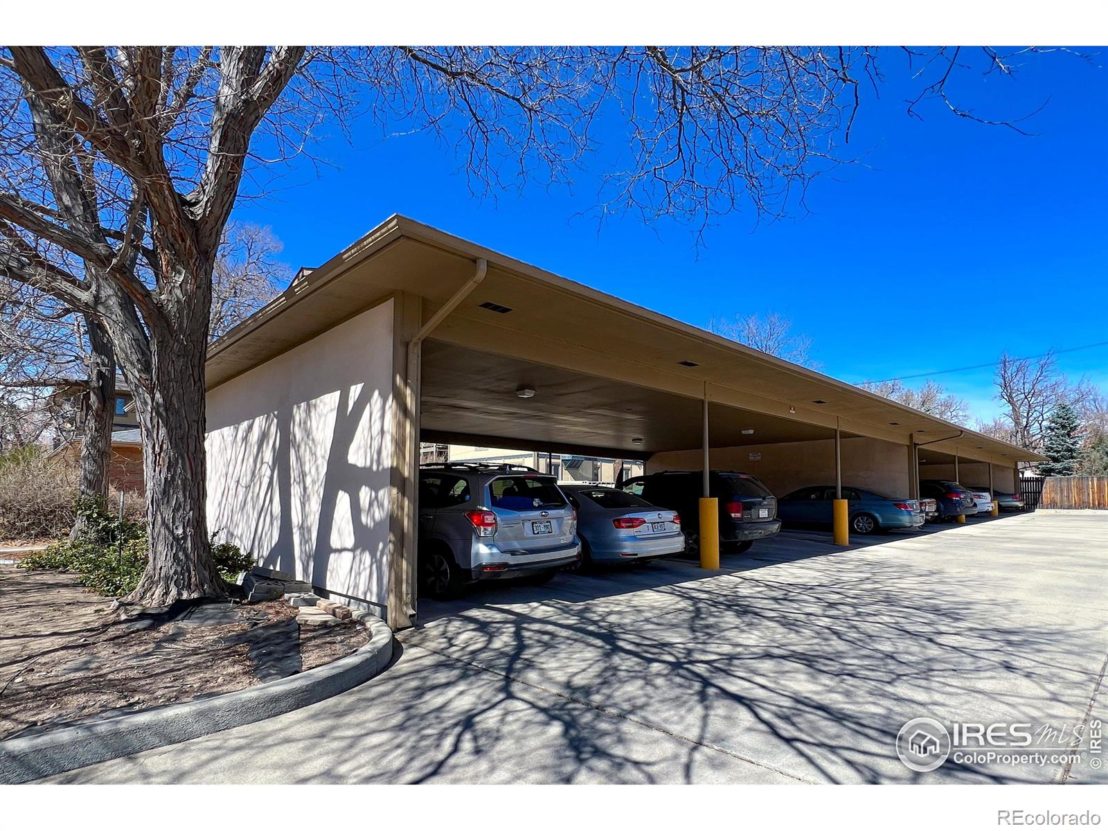 MLS Image #26 for 400  emery street,longmont, Colorado