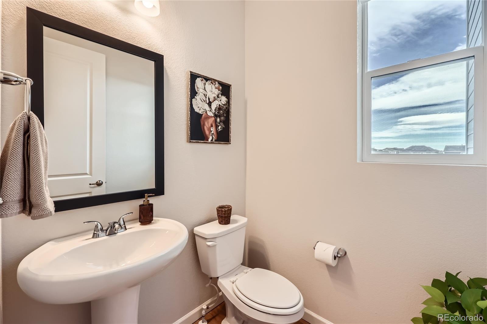 MLS Image #9 for 3625  silver rock circle,castle rock, Colorado