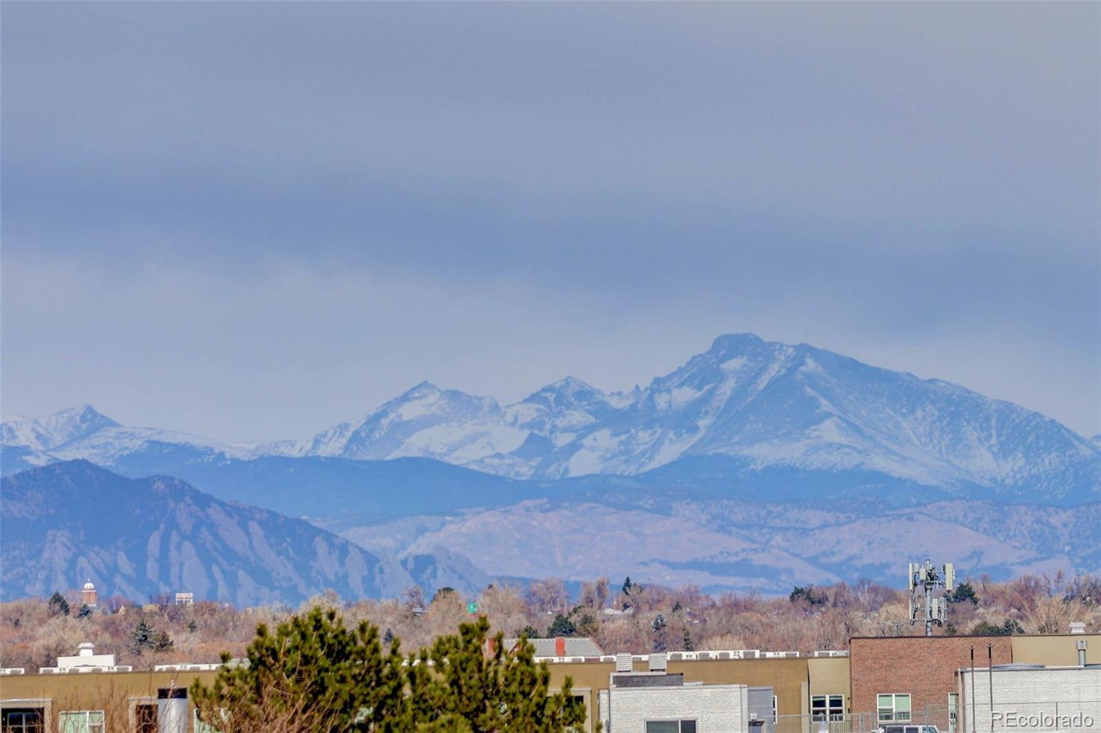 MLS Image #24 for 2442  champa street,denver, Colorado