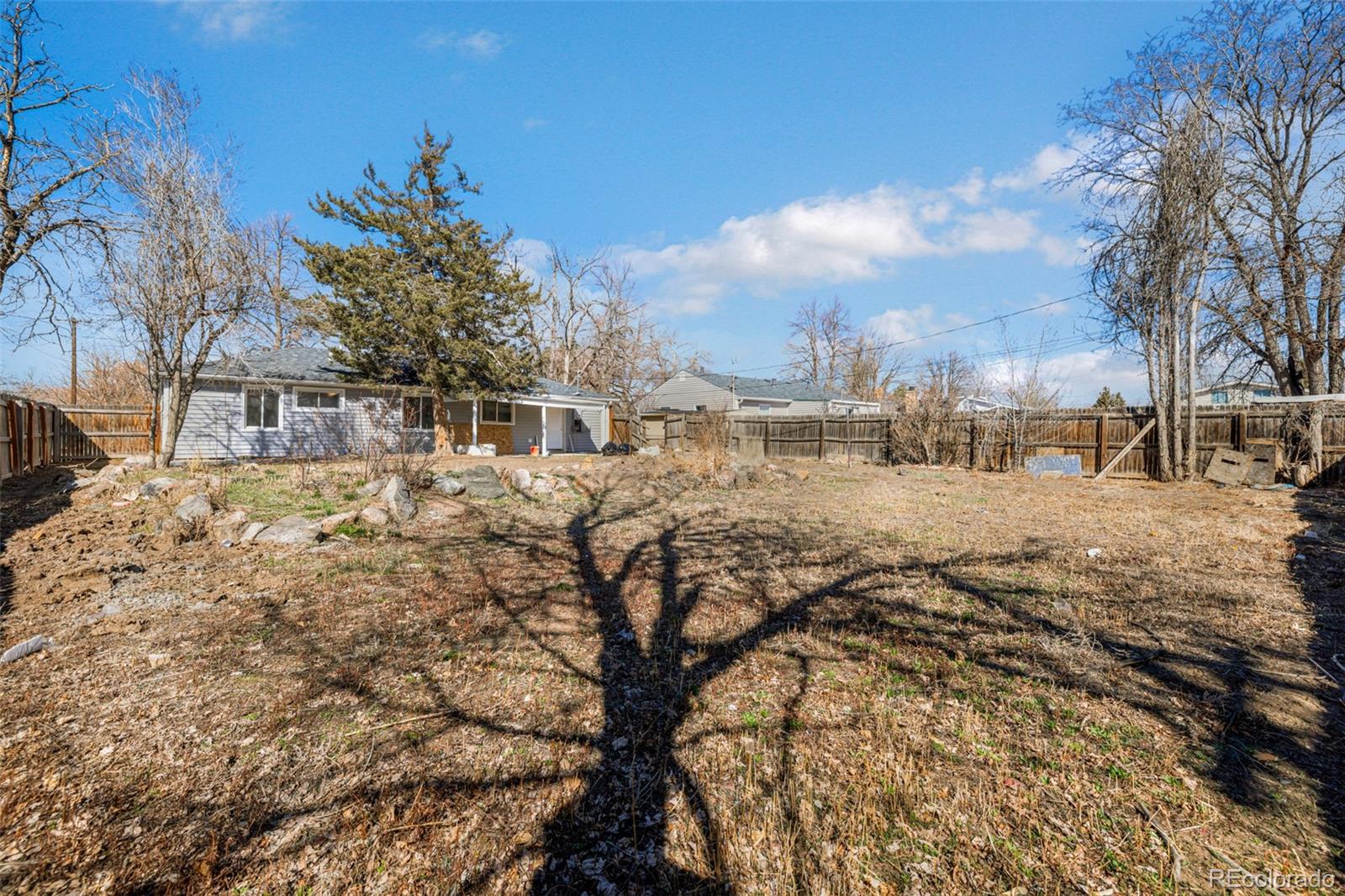 MLS Image #10 for 802  geneva street,aurora, Colorado