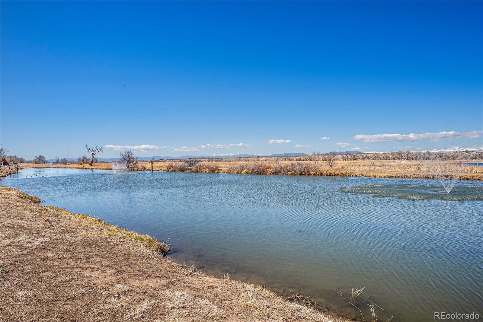 MLS Image #3 for 1272  bluebird street,brighton, Colorado
