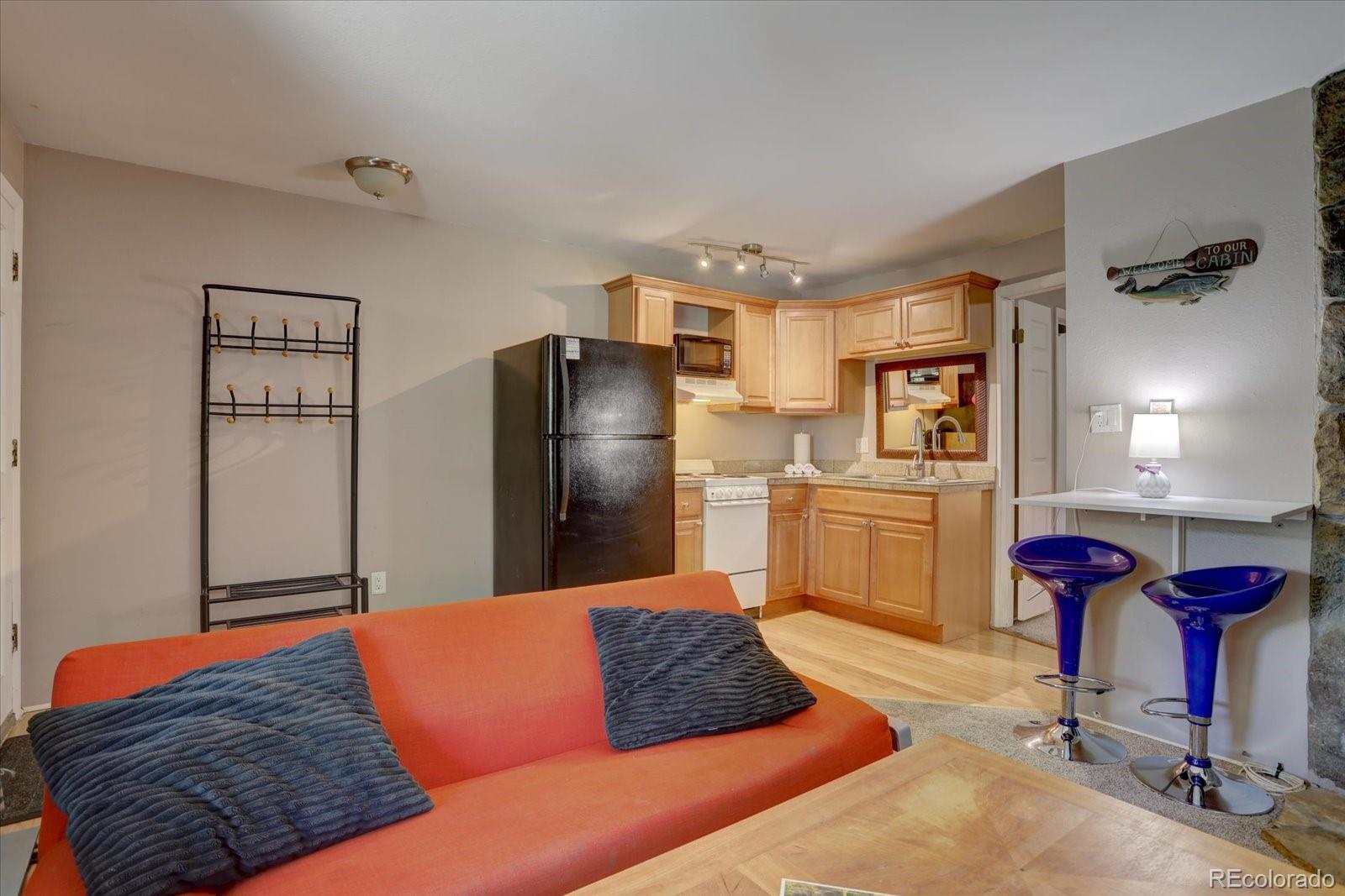 MLS Image #4 for 396  cove boulevard,dillon, Colorado