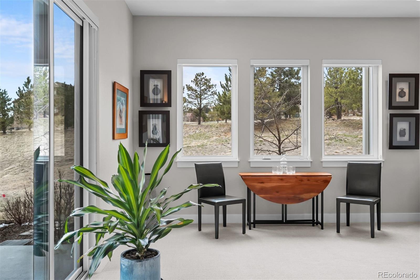 MLS Image #21 for 5187  copper blush court,castle rock, Colorado