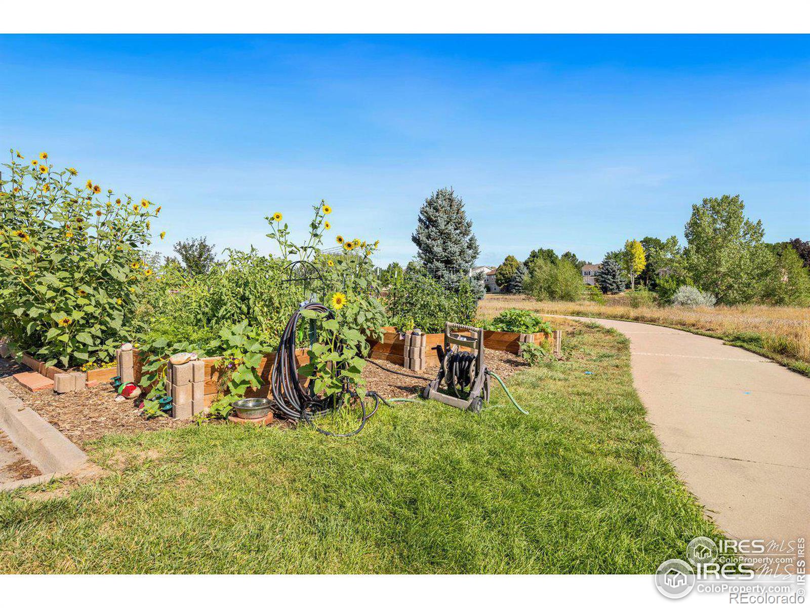 MLS Image #30 for 5620  fossil creek parkway,fort collins, Colorado