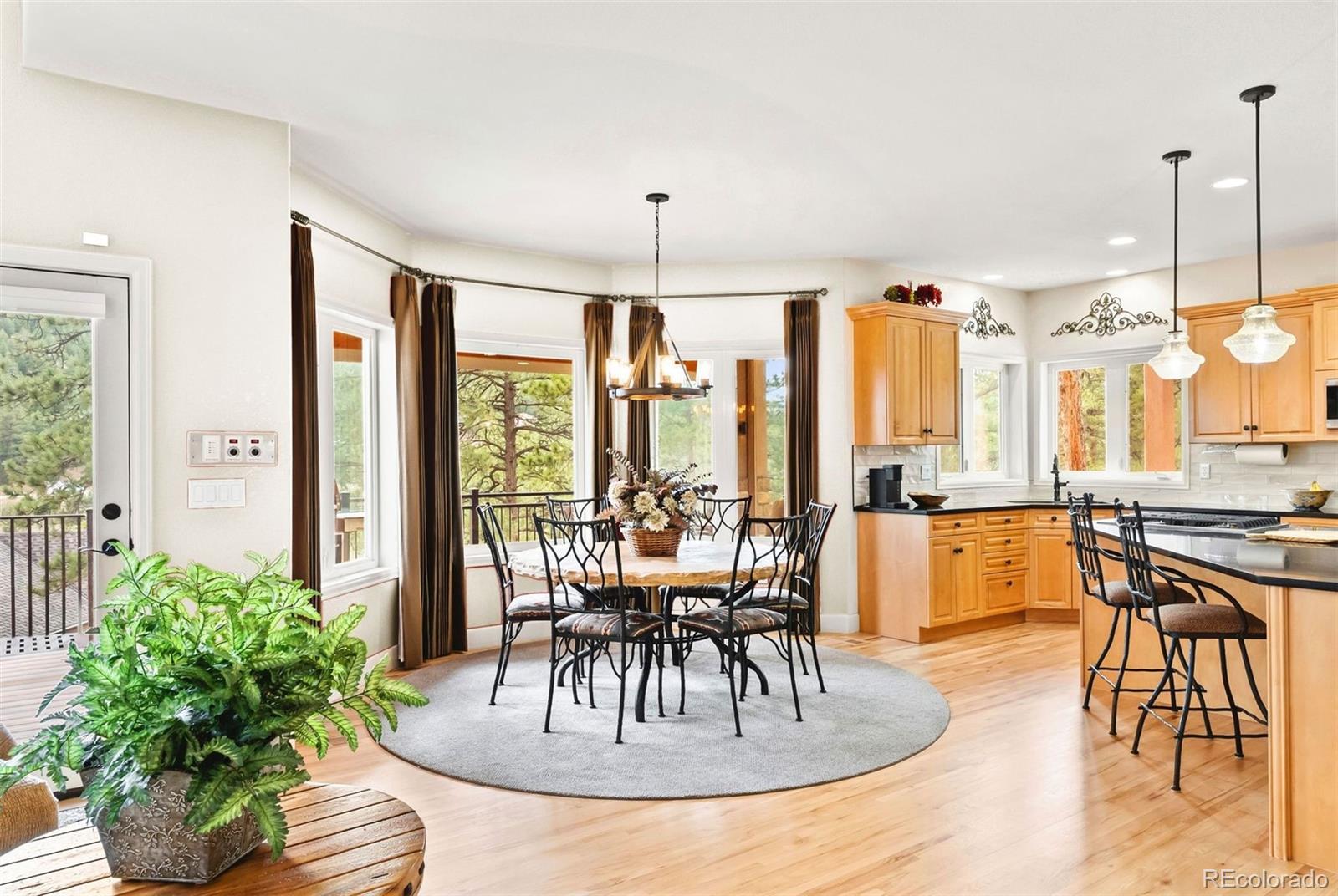 MLS Image #14 for 30205  telluride lane,evergreen, Colorado