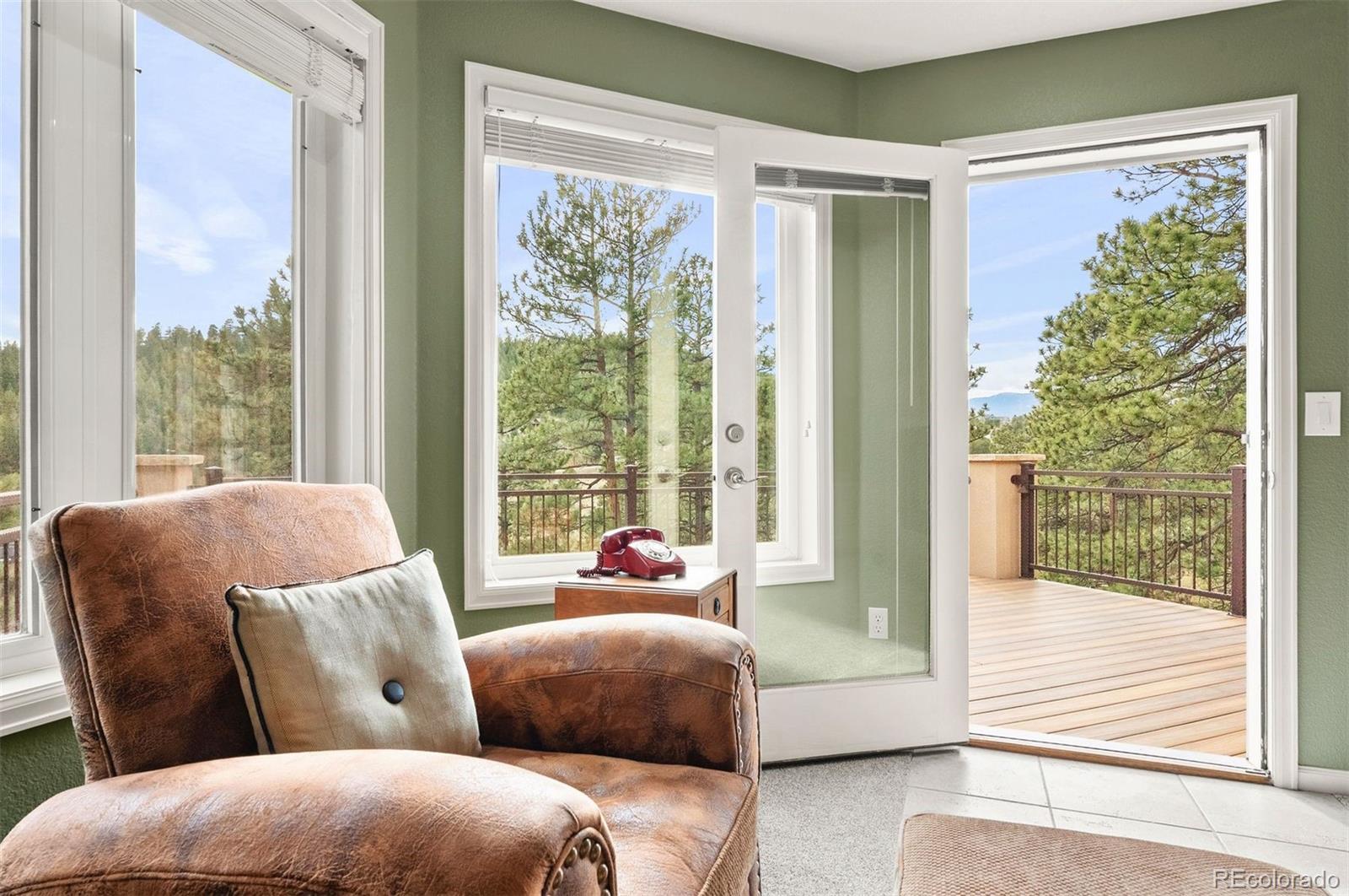 MLS Image #22 for 30205  telluride lane,evergreen, Colorado