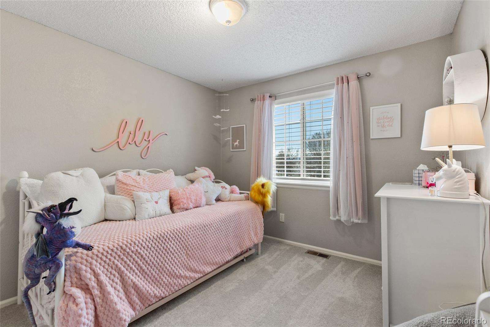 MLS Image #24 for 5426  bobcat street,frederick, Colorado