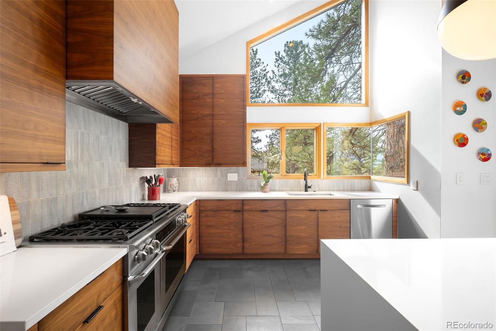 MLS Image #19 for 1943  columbine court,golden, Colorado