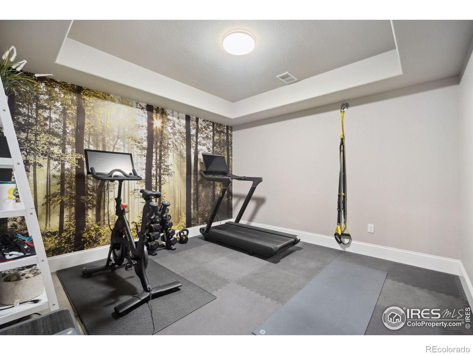 MLS Image #18 for 6747  murano court,windsor, Colorado