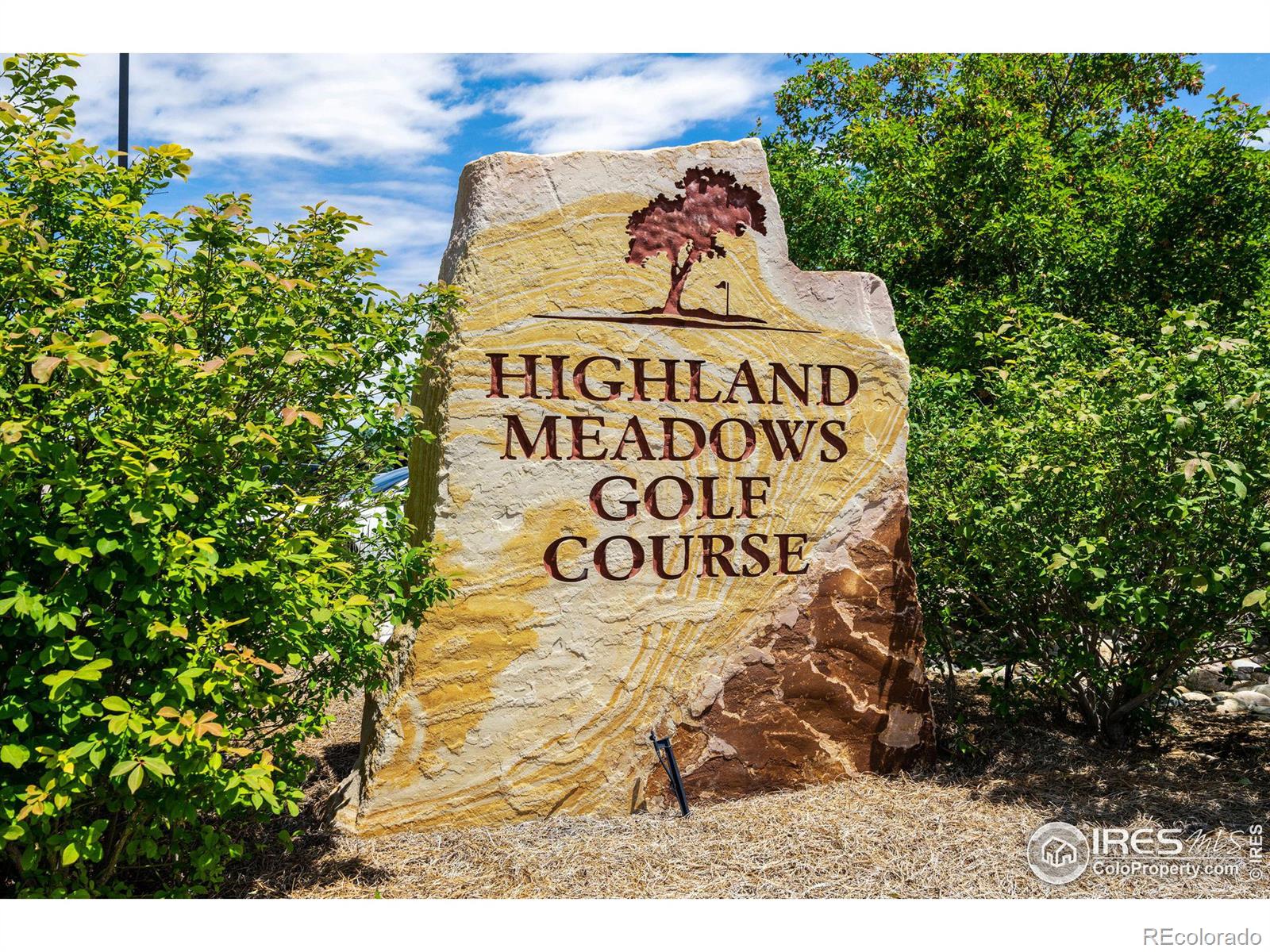 MLS Image #28 for 6747  murano court,windsor, Colorado