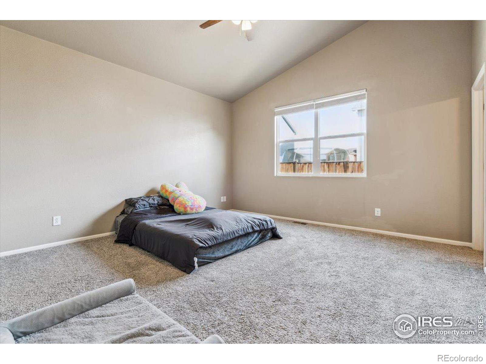 MLS Image #8 for 3656  cornflower street,wellington, Colorado