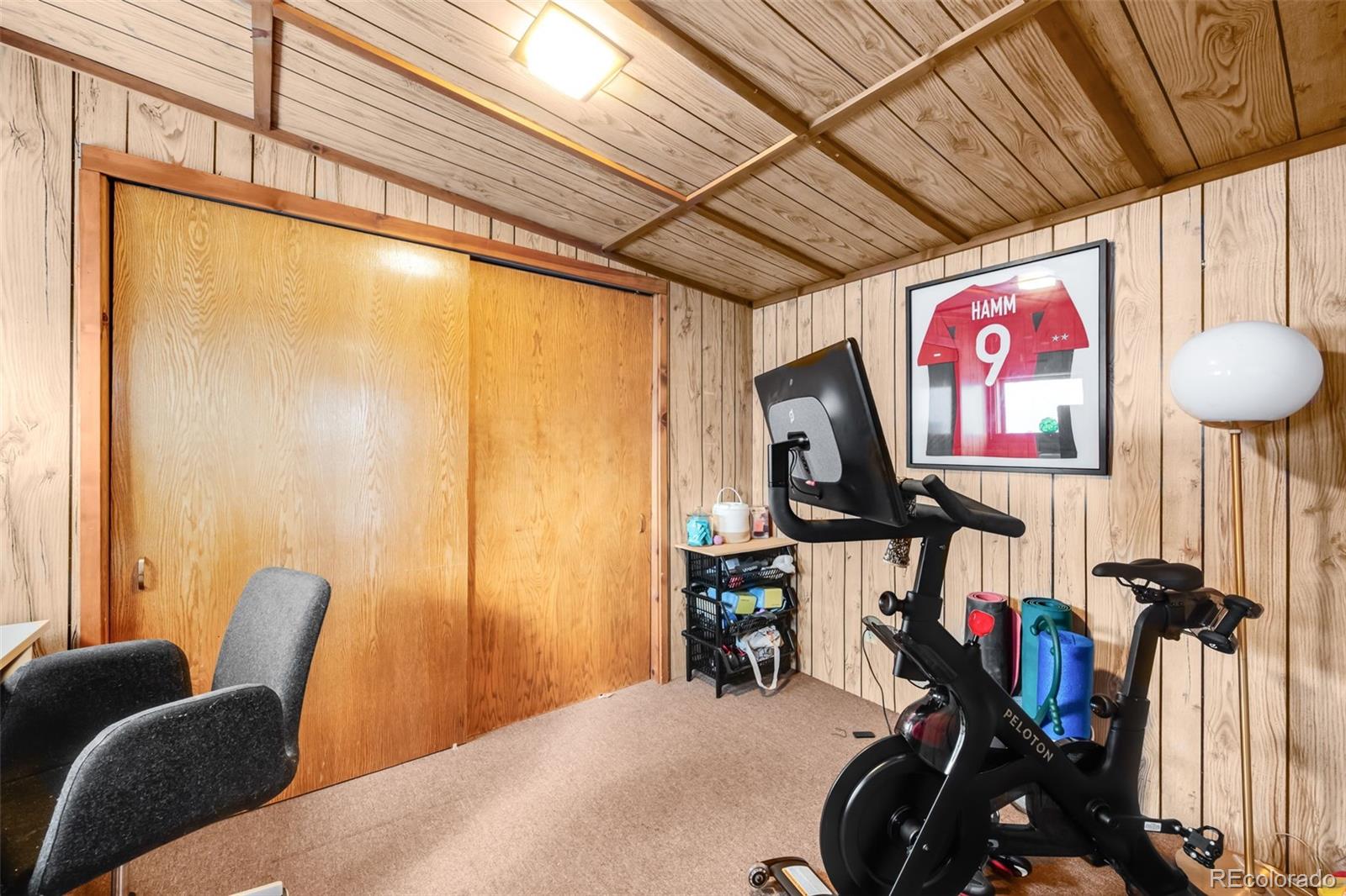 MLS Image #20 for 4986  white house trail,evergreen, Colorado