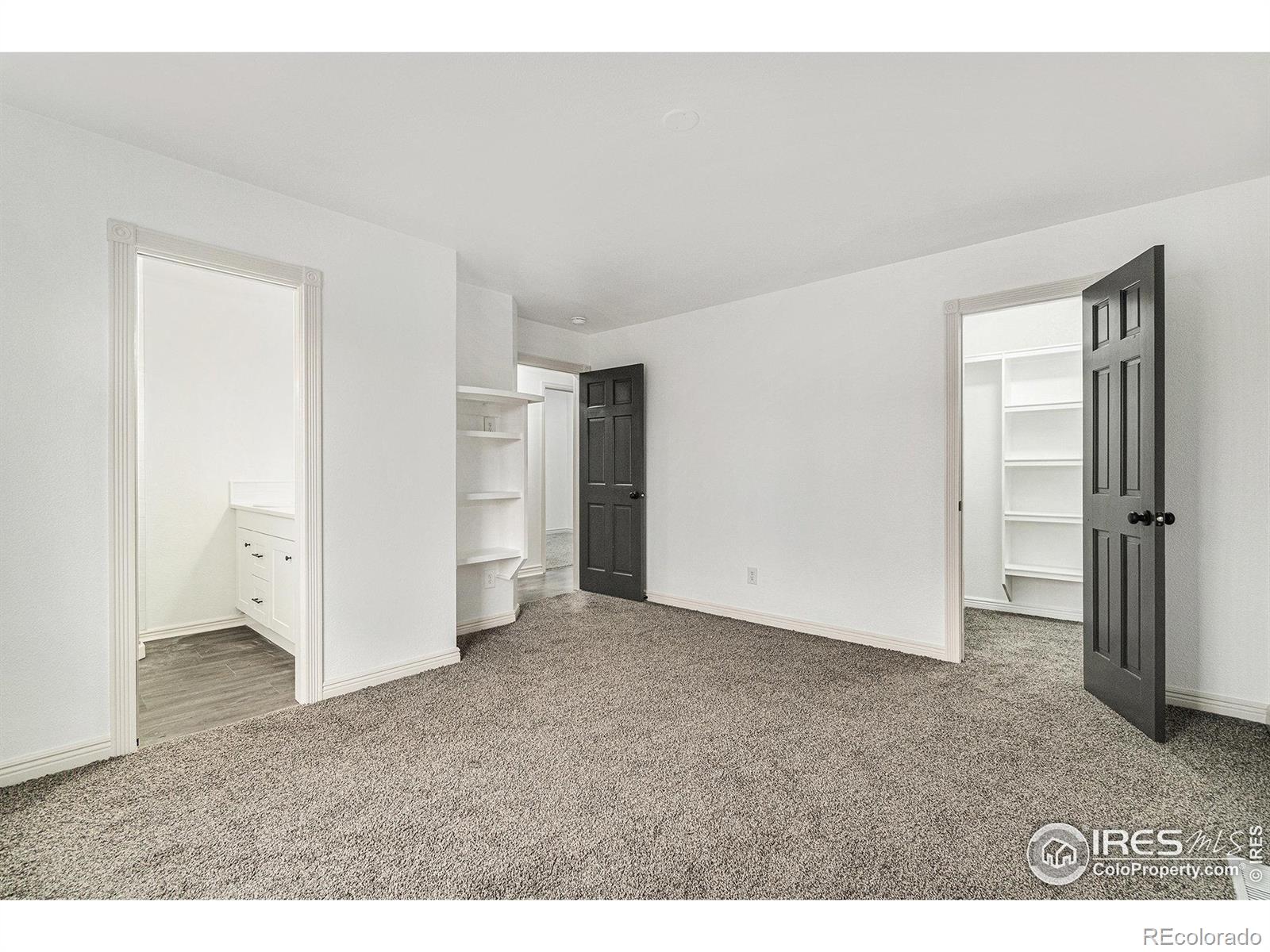 MLS Image #6 for 1101  glacier court,windsor, Colorado