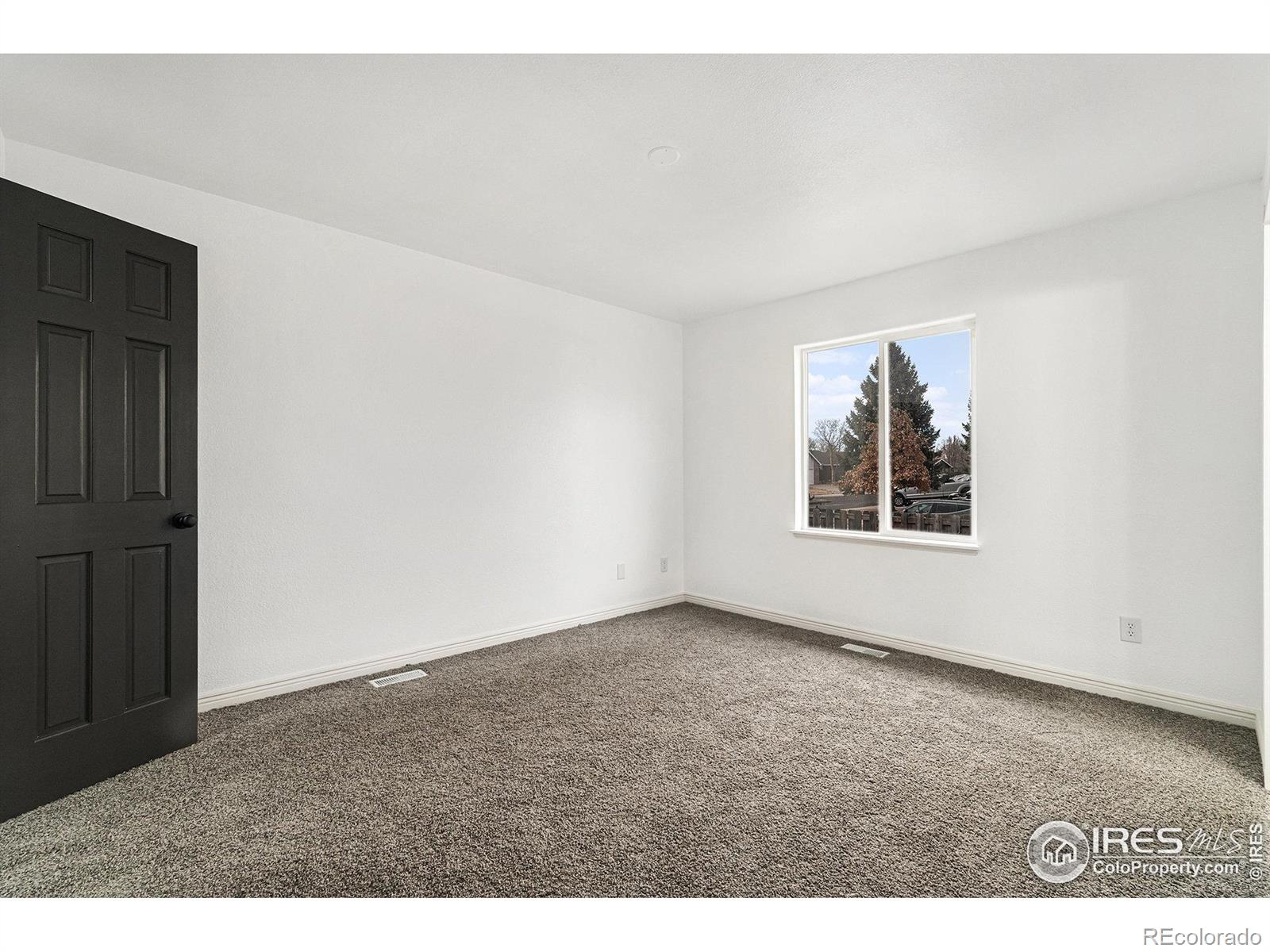 MLS Image #7 for 1101  glacier court,windsor, Colorado