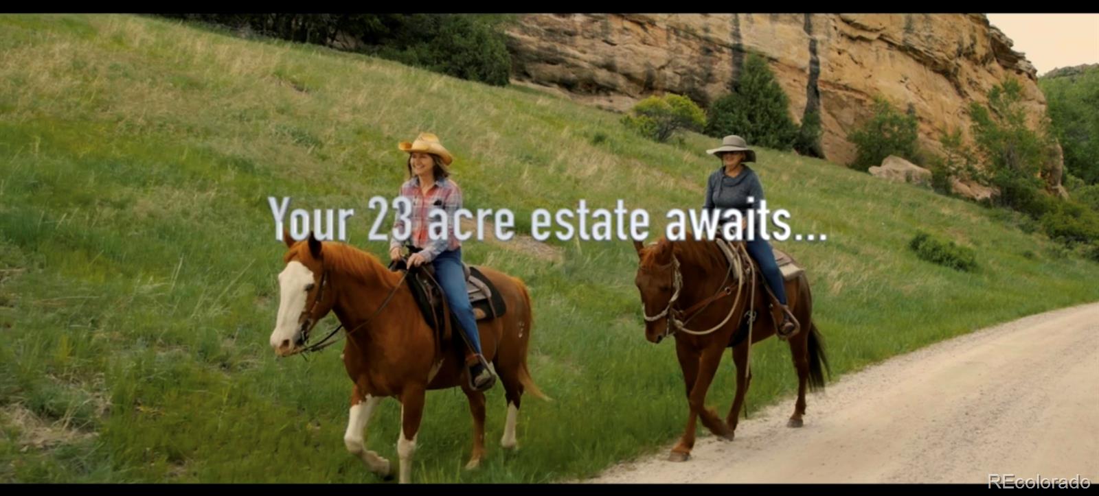 MLS Image #7 for 15175 w belleview avenue,morrison, Colorado