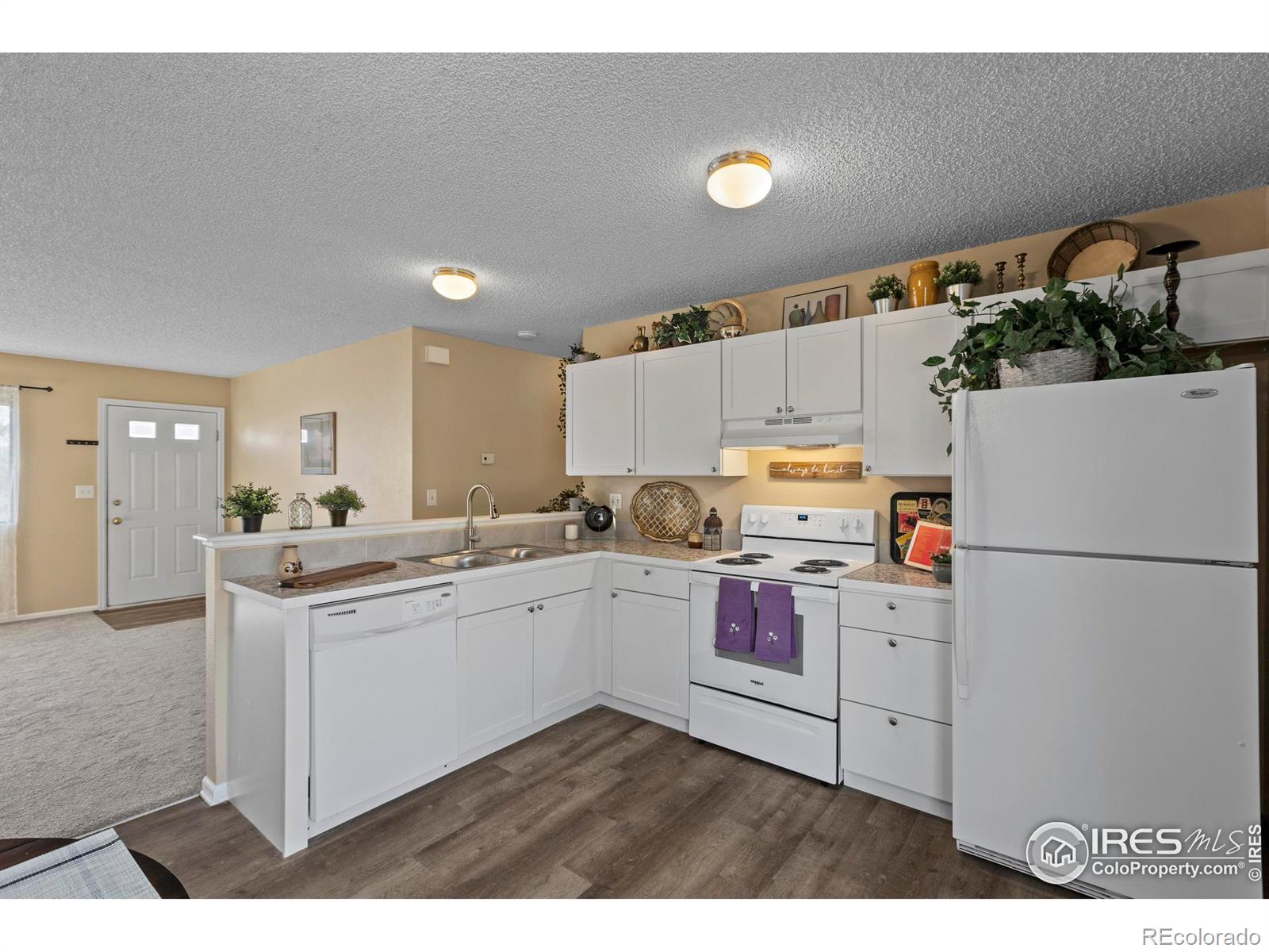 MLS Image #13 for 3705  mead street,fort collins, Colorado
