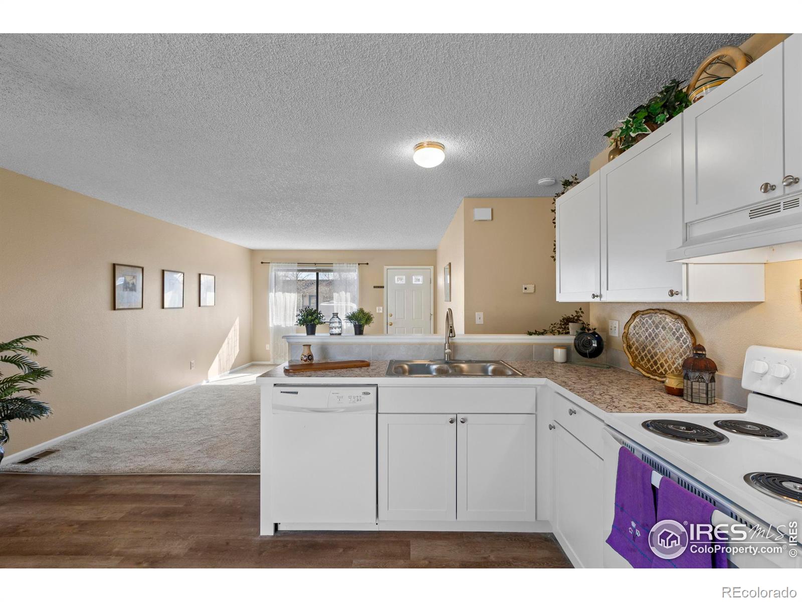 MLS Image #14 for 3705  mead street,fort collins, Colorado