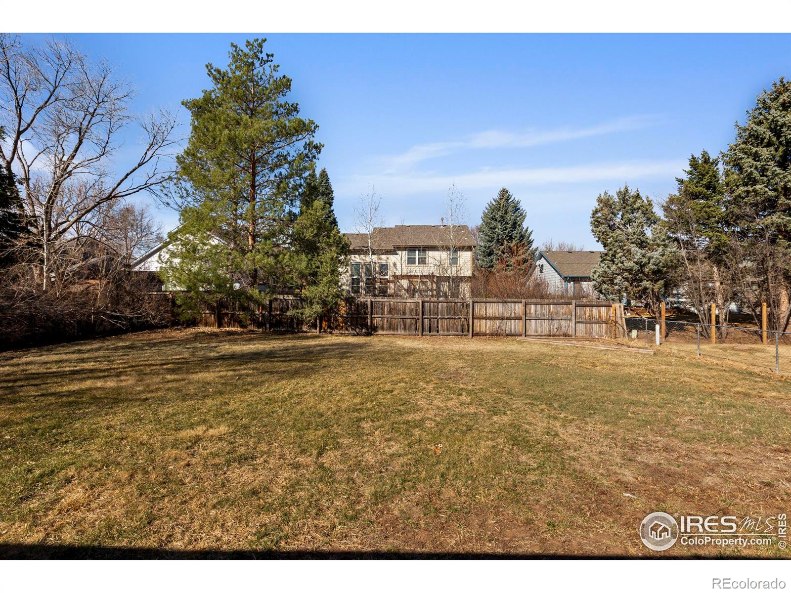 MLS Image #21 for 3705  mead street,fort collins, Colorado