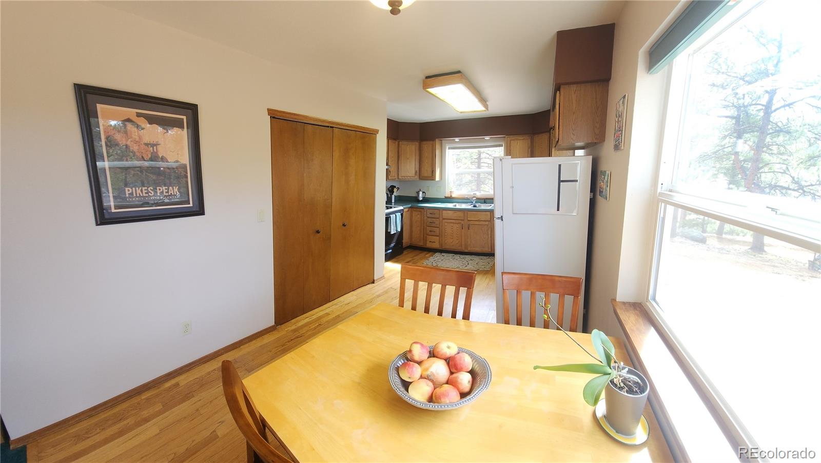 MLS Image #10 for 57  amilio drive,woodland park, Colorado
