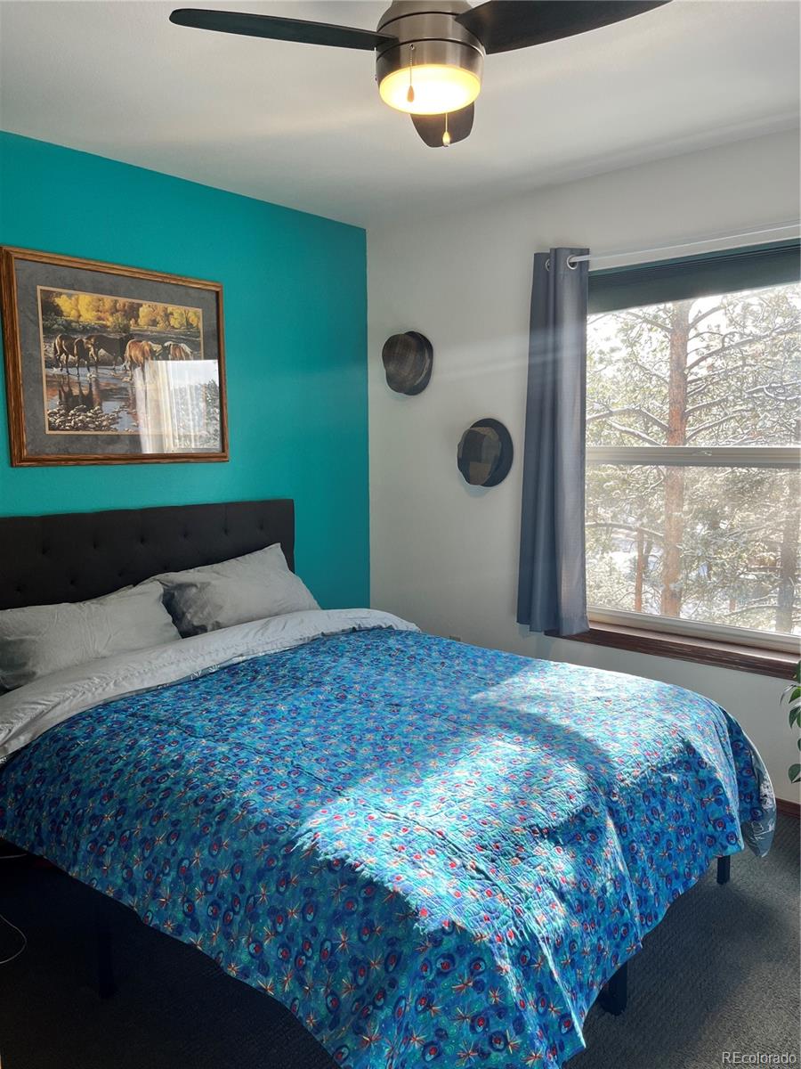 MLS Image #19 for 57  amilio drive,woodland park, Colorado