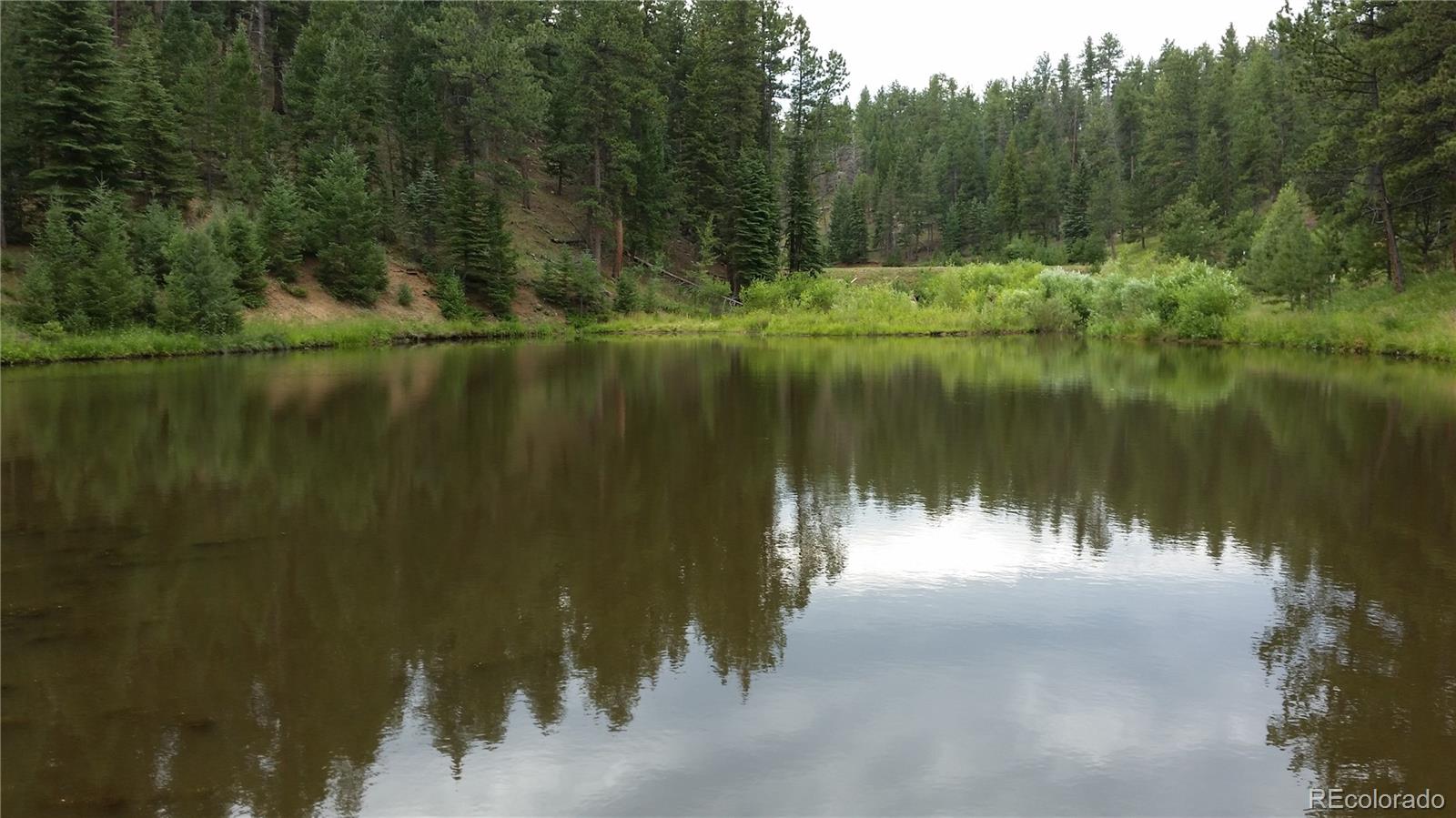 MLS Image #29 for 57  amilio drive,woodland park, Colorado