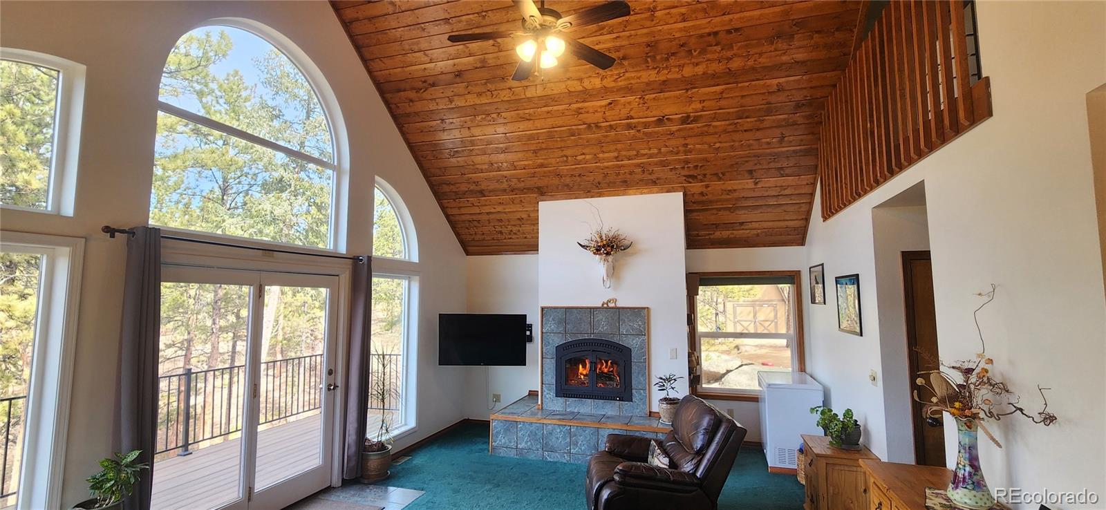 MLS Image #8 for 57  amilio drive,woodland park, Colorado
