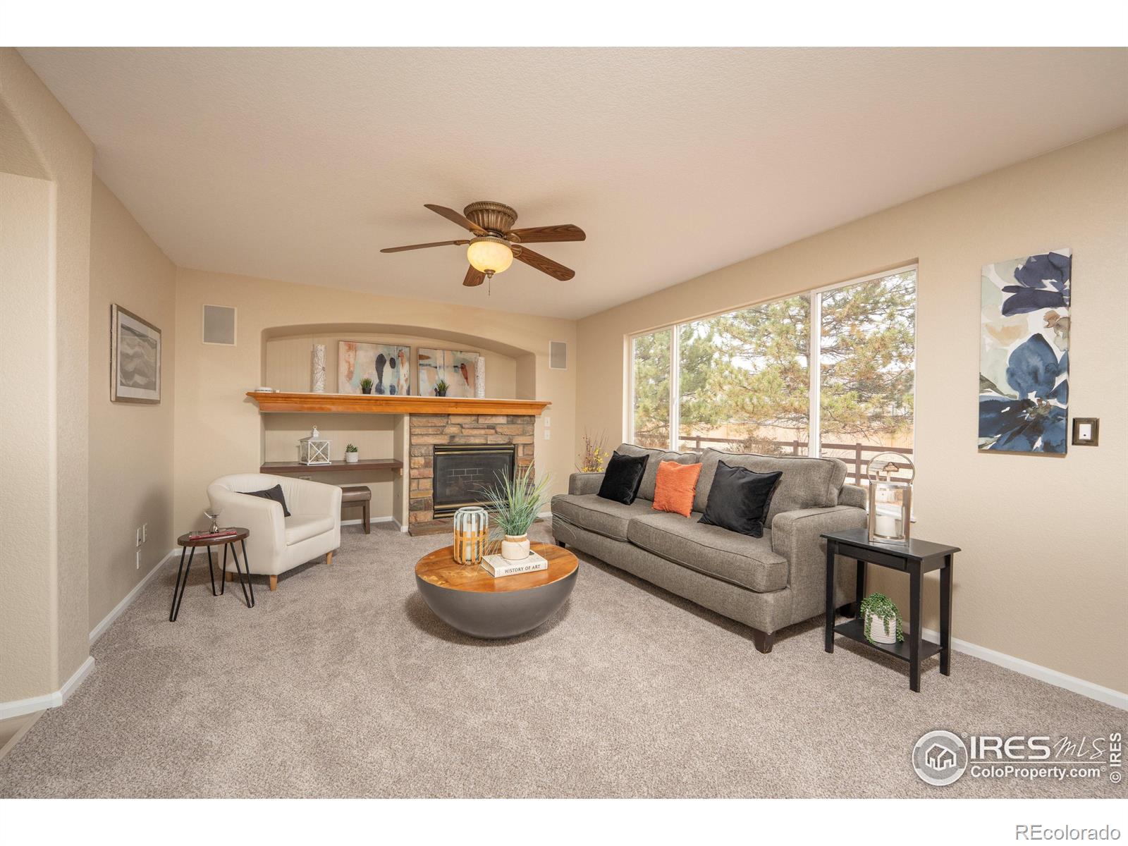MLS Image #10 for 13238  ivy court,thornton, Colorado
