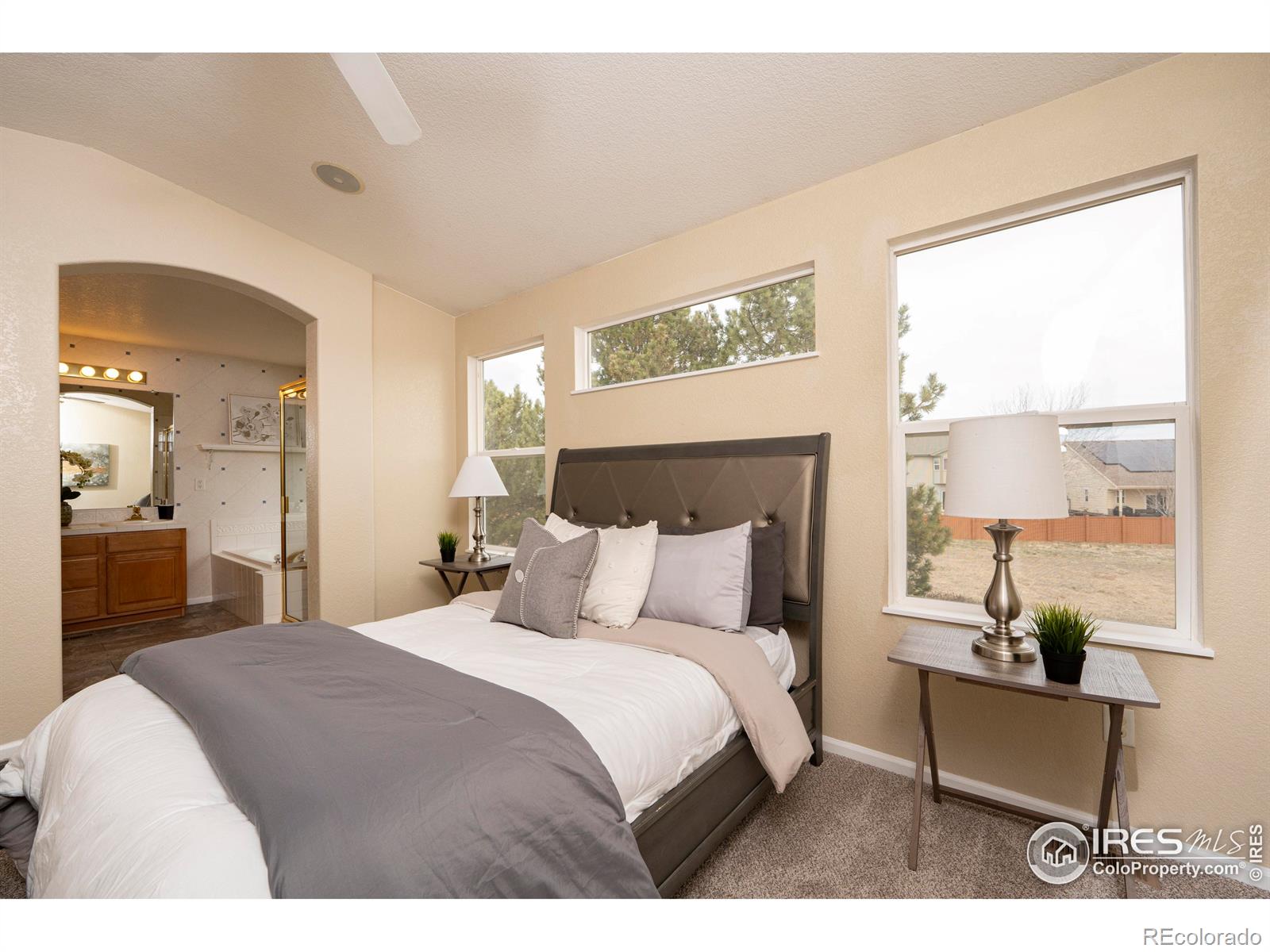 MLS Image #12 for 13238  ivy court,thornton, Colorado