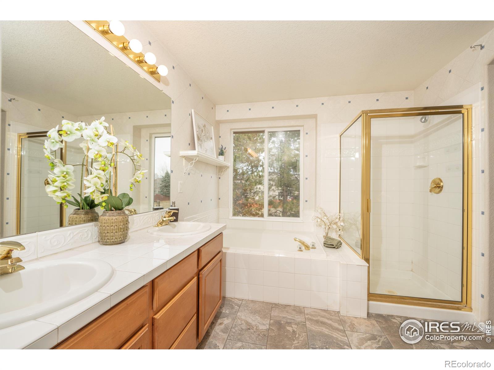 MLS Image #13 for 13238  ivy court,thornton, Colorado