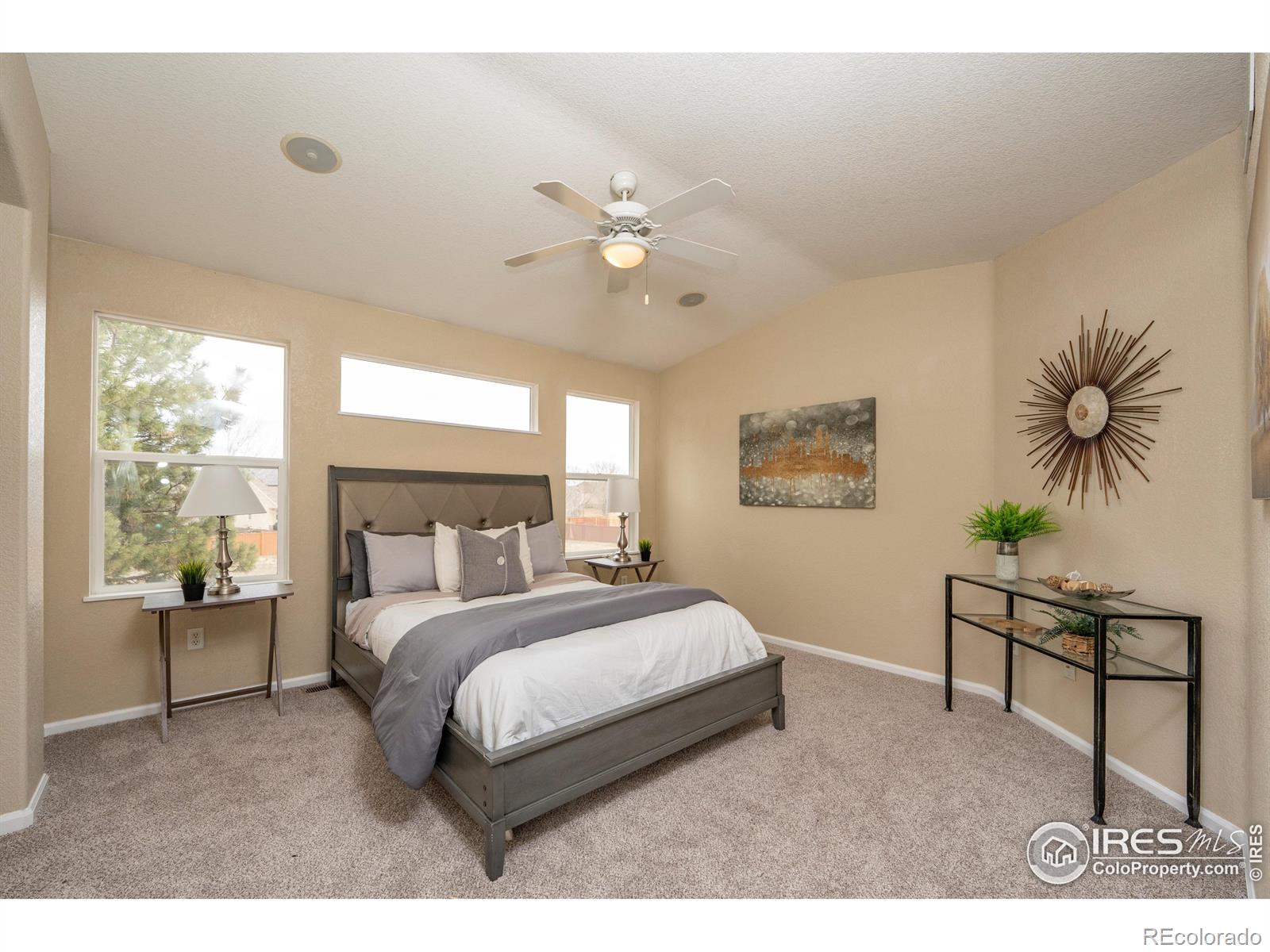 MLS Image #15 for 13238  ivy court,thornton, Colorado