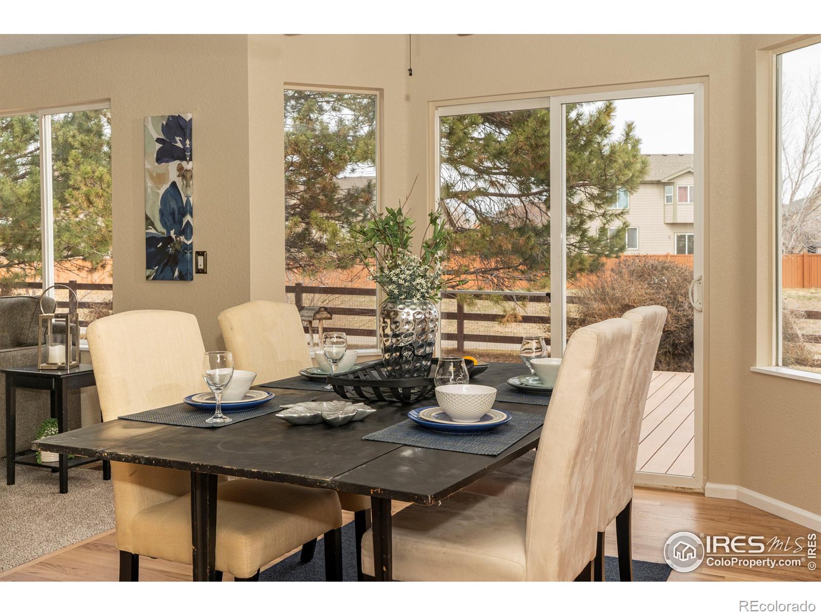 MLS Image #7 for 13238  ivy court,thornton, Colorado