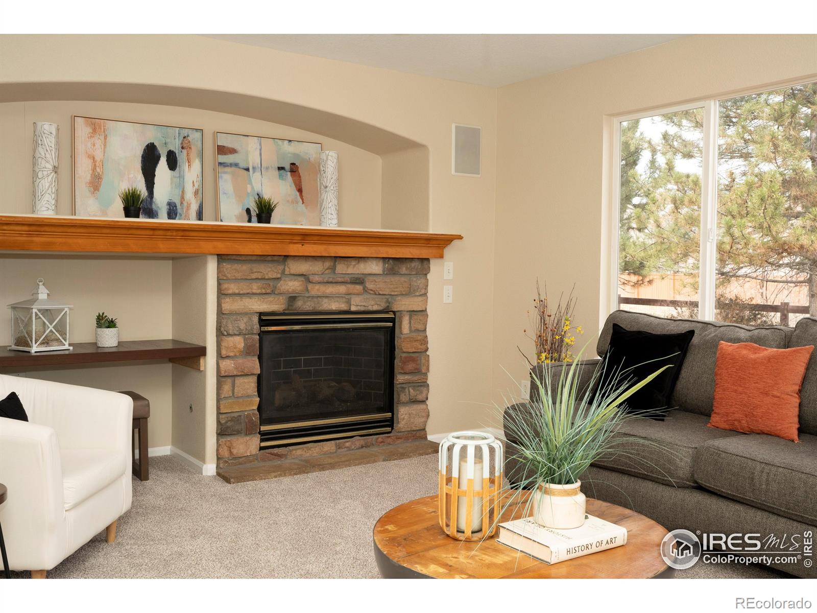 MLS Image #9 for 13238  ivy court,thornton, Colorado