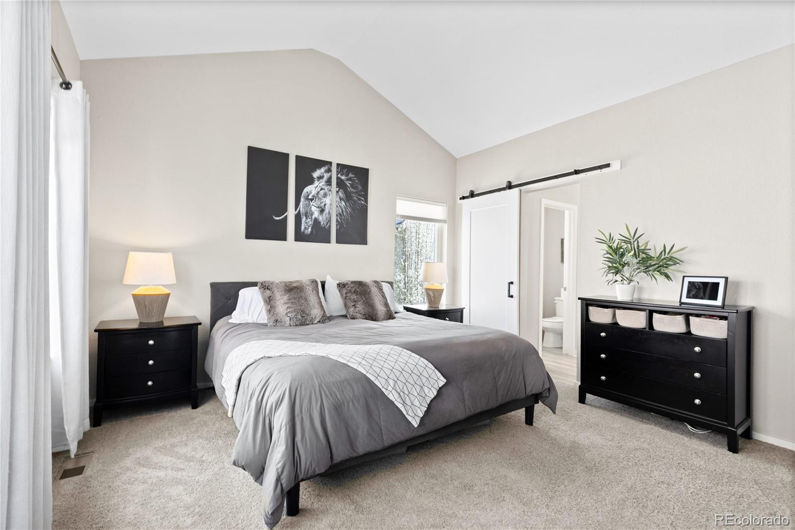 MLS Image #15 for 6764  osage street,denver, Colorado