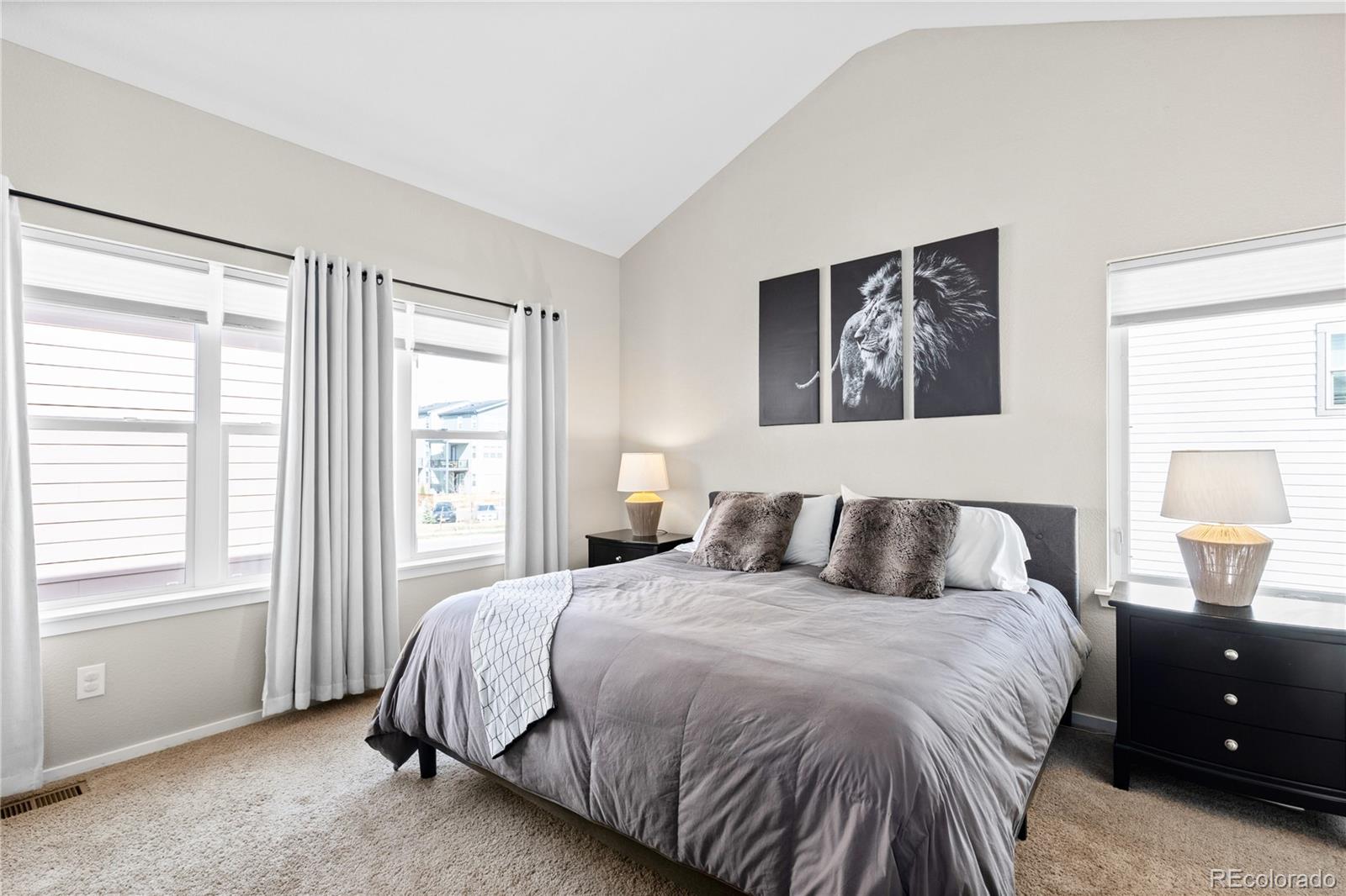 MLS Image #16 for 6764  osage street,denver, Colorado