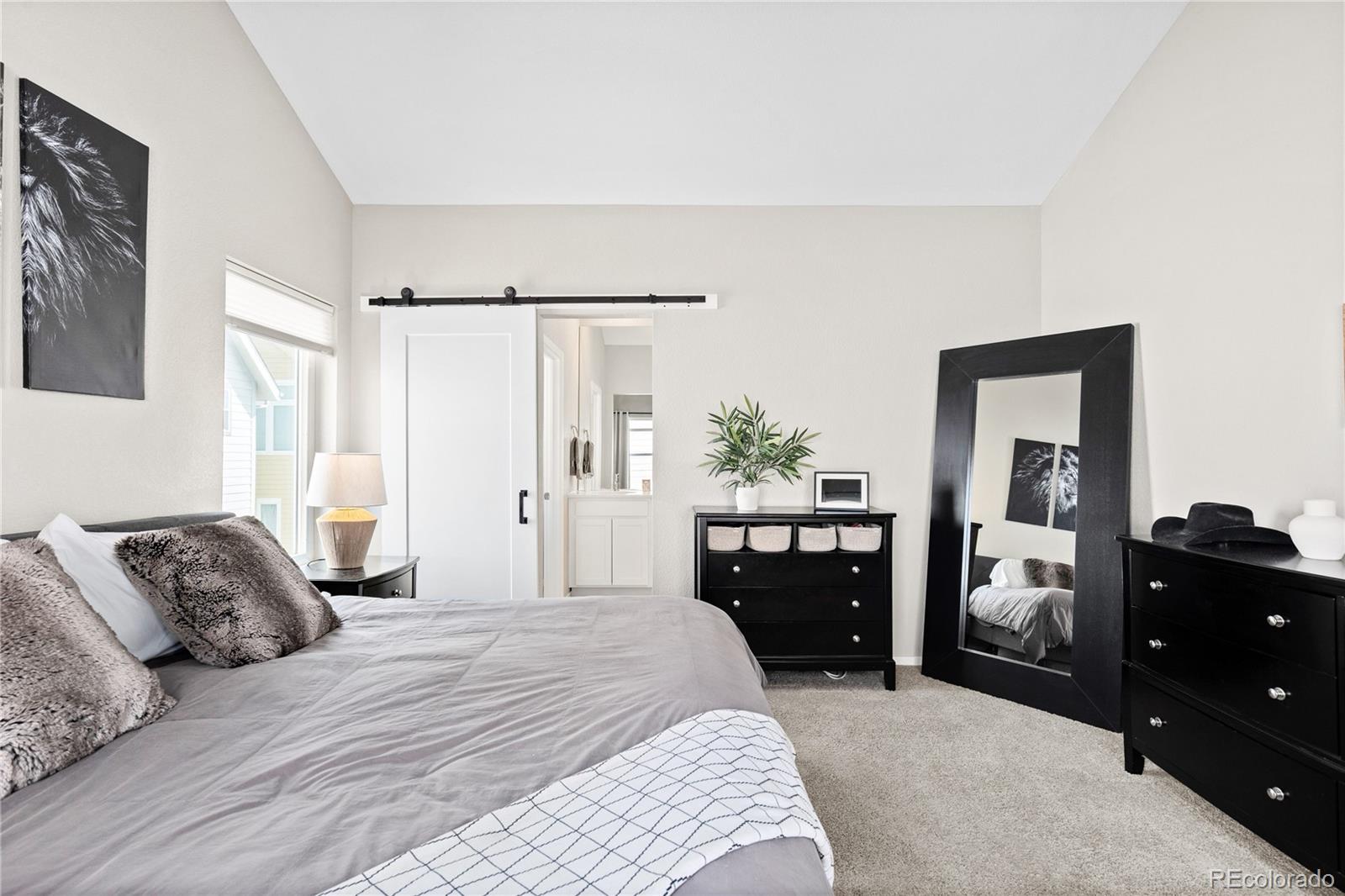 MLS Image #17 for 6764  osage street,denver, Colorado