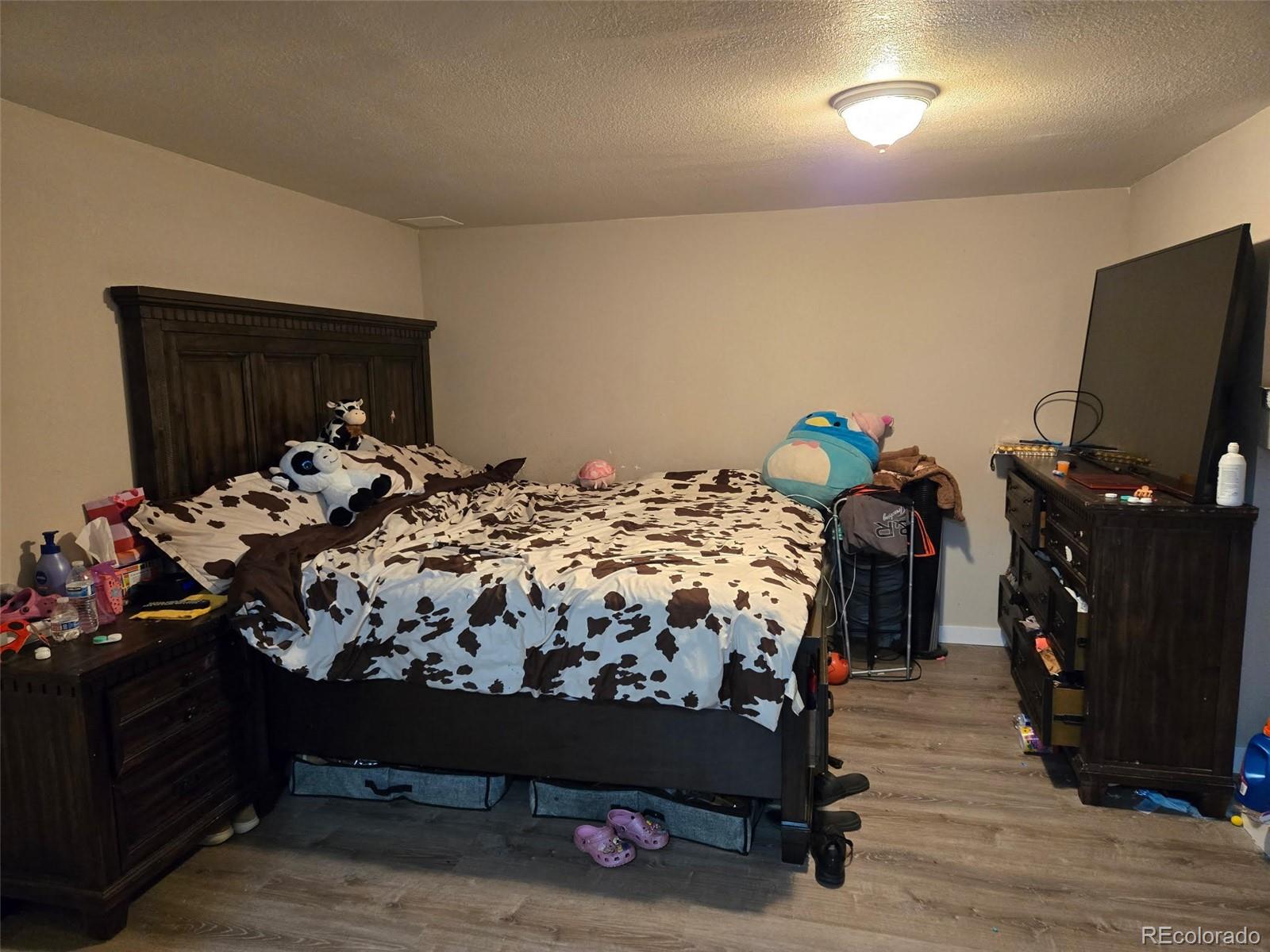 MLS Image #24 for 1051  jasper street,aurora, Colorado