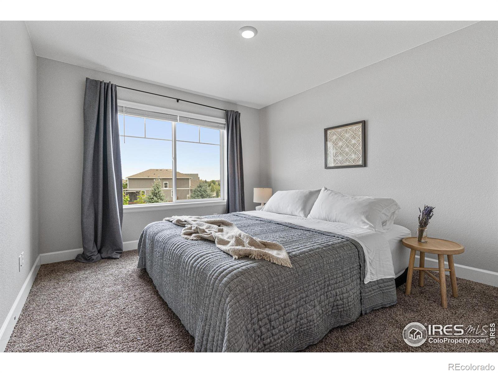 MLS Image #23 for 5827  glendive lane,timnath, Colorado