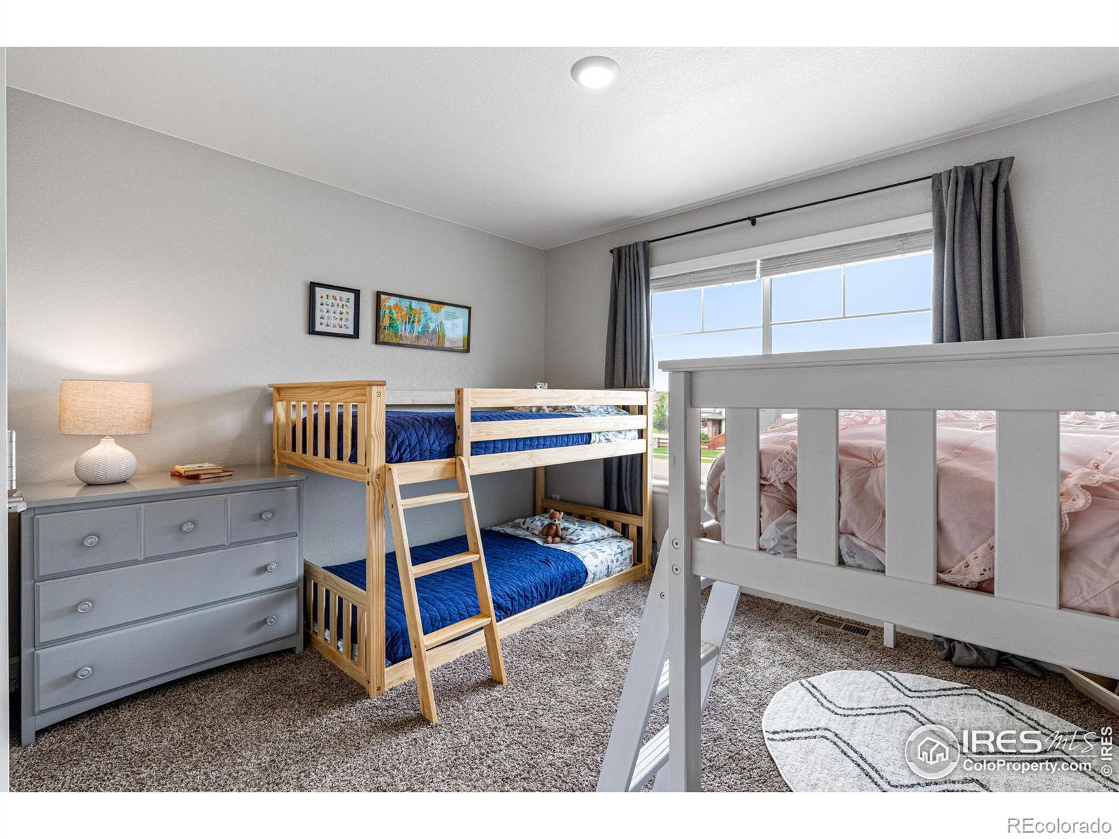 MLS Image #24 for 5827  glendive lane,timnath, Colorado