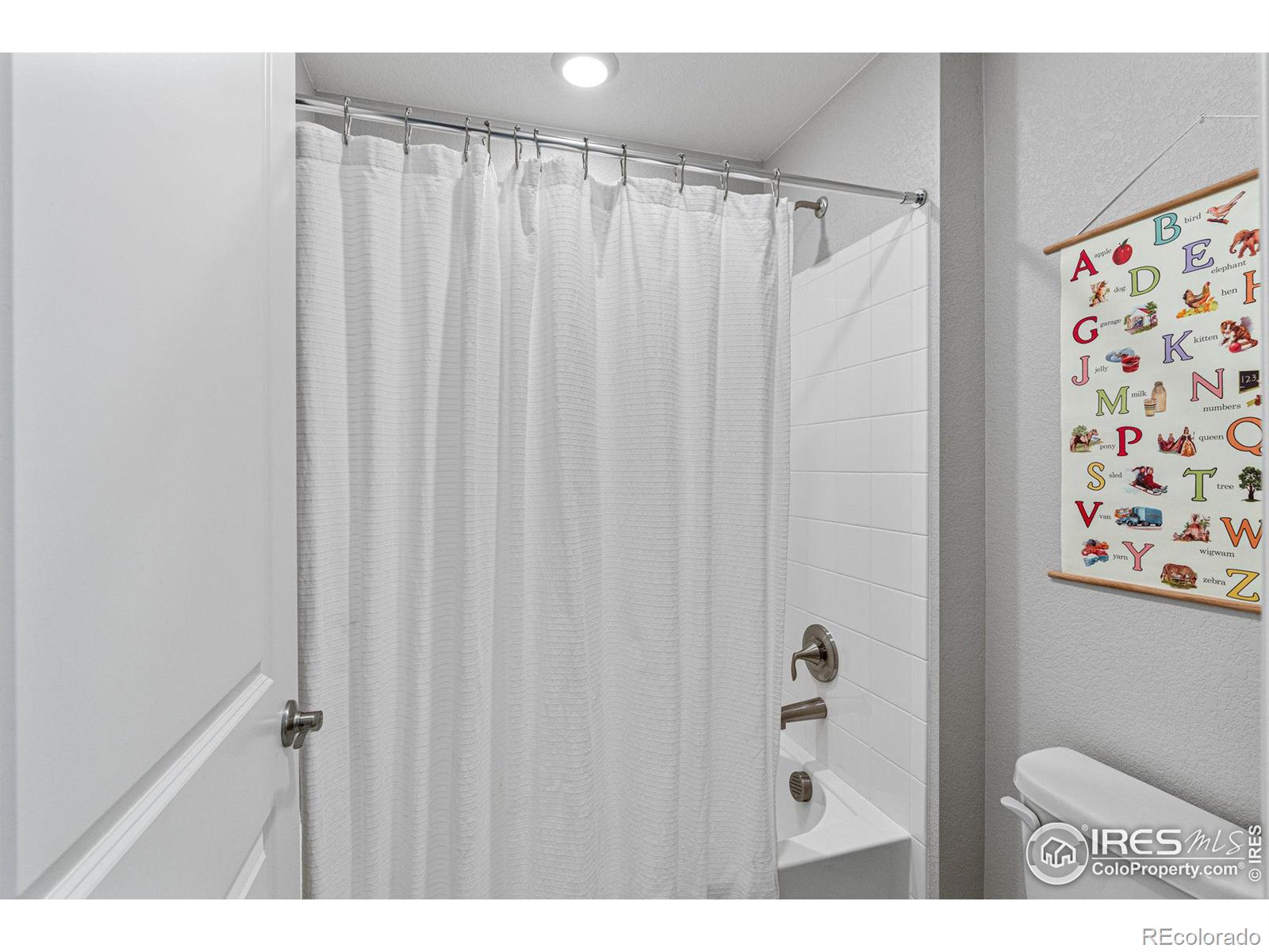 MLS Image #27 for 5827  glendive lane,timnath, Colorado
