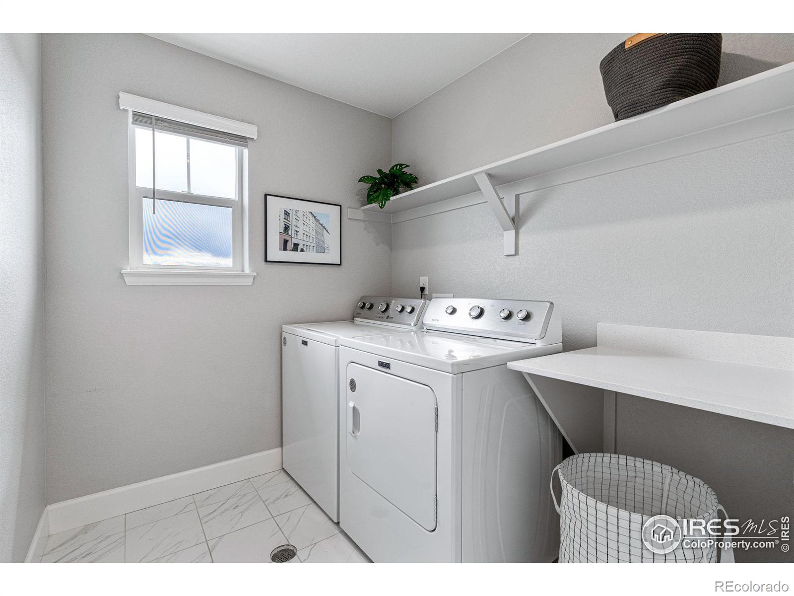 MLS Image #28 for 5827  glendive lane,timnath, Colorado