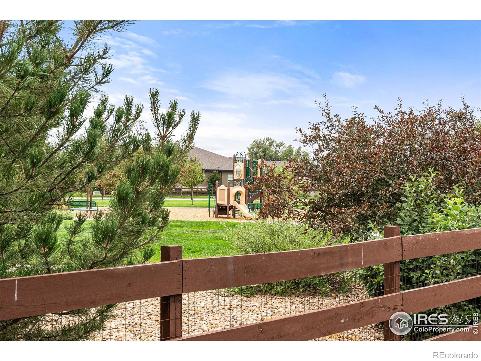 MLS Image #38 for 5827  glendive lane,timnath, Colorado