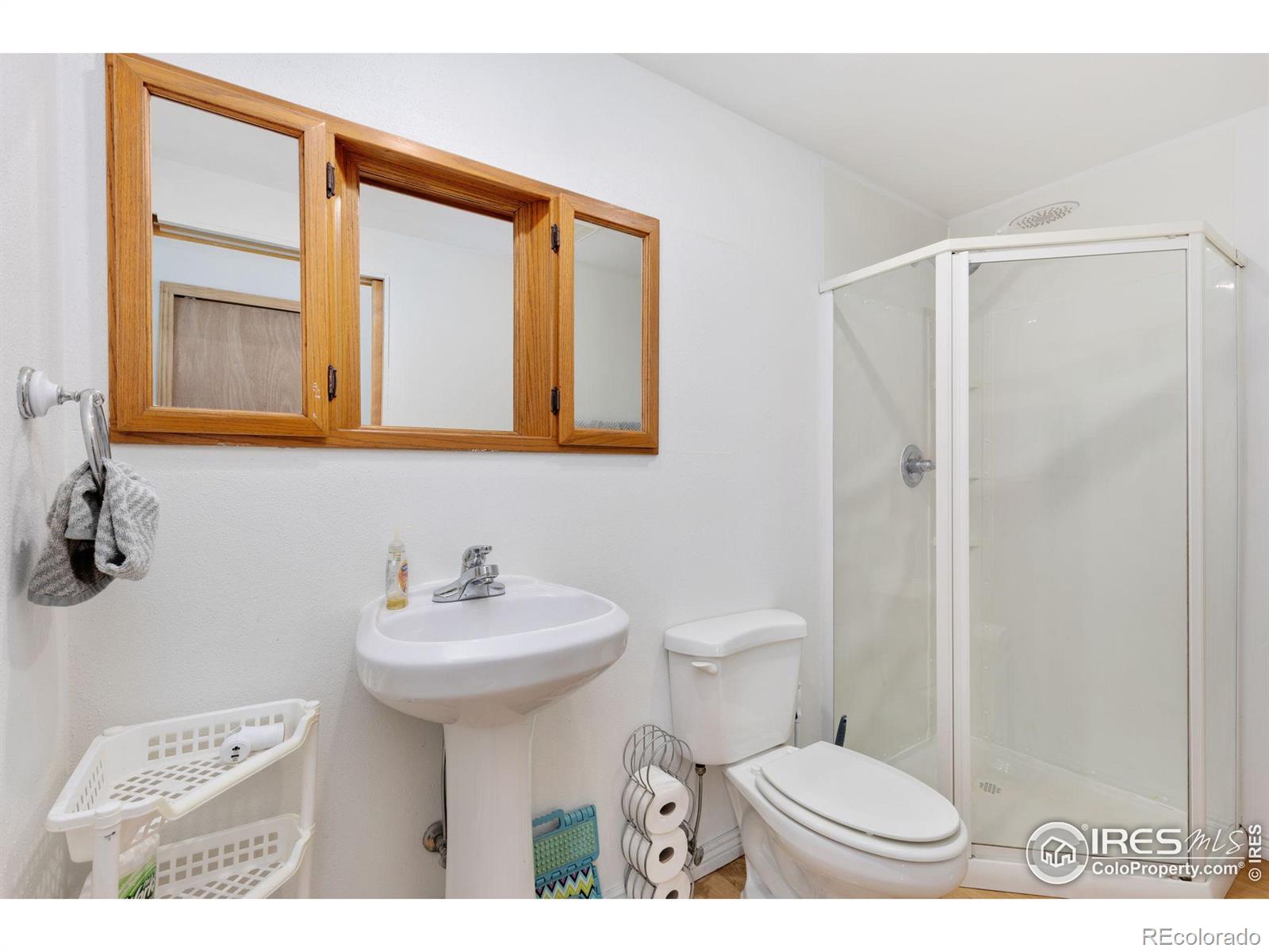 MLS Image #28 for 721  sage place,berthoud, Colorado